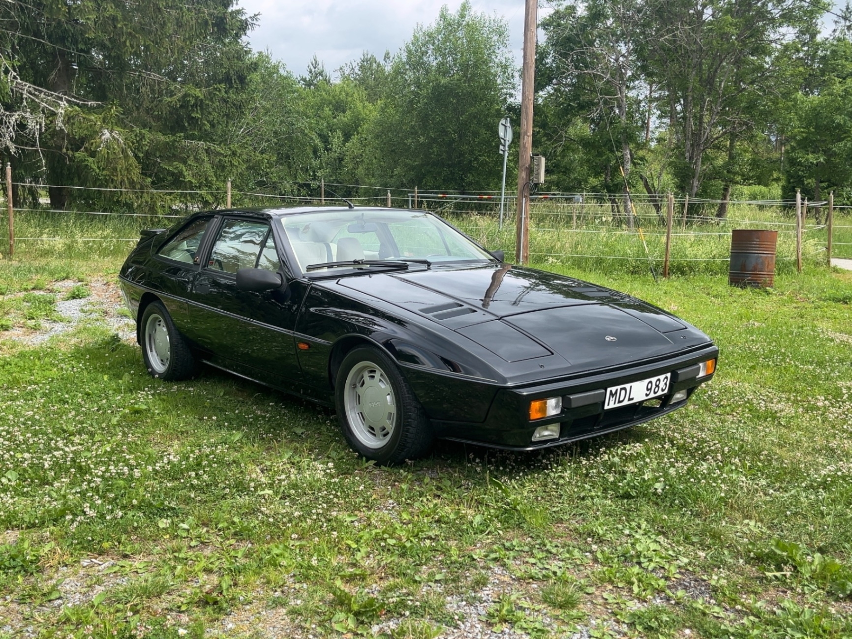 Lotus Övriga