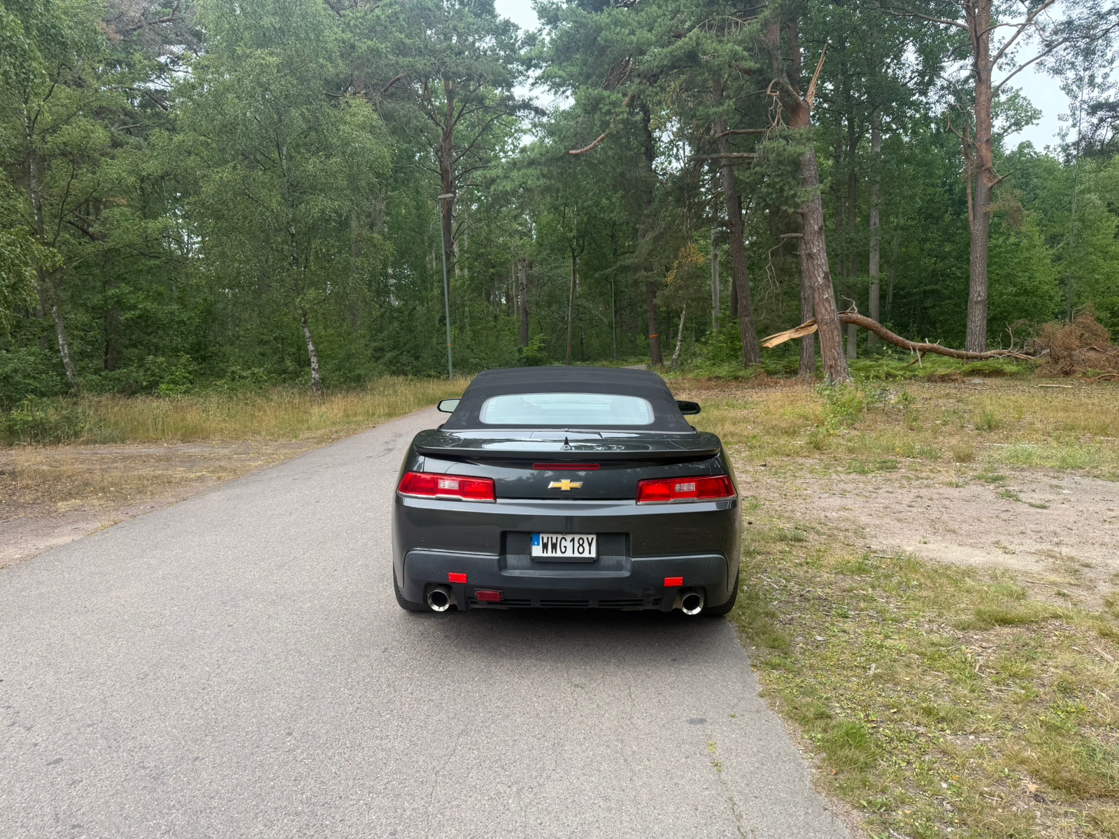 Chevrolet Camaro 2015, bild 4/10