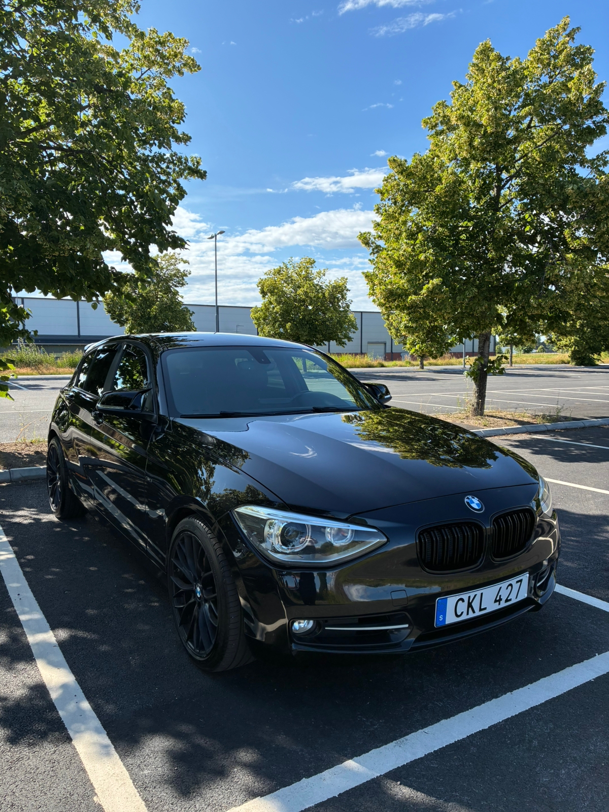 BMW 120 d 5-dörrars Manuell 2012, bild 5/10