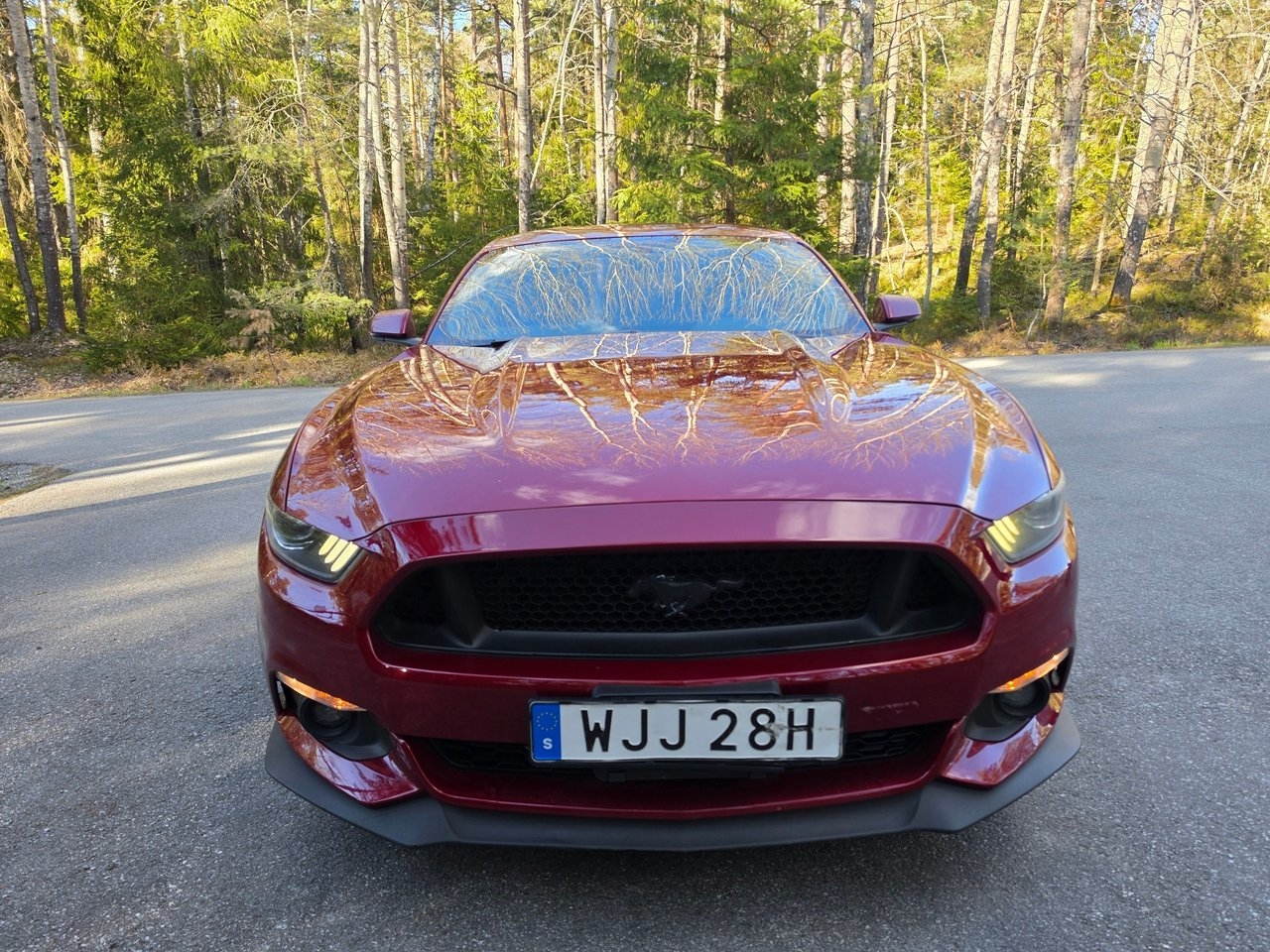 Ford Mustang 2016, bild 2/11