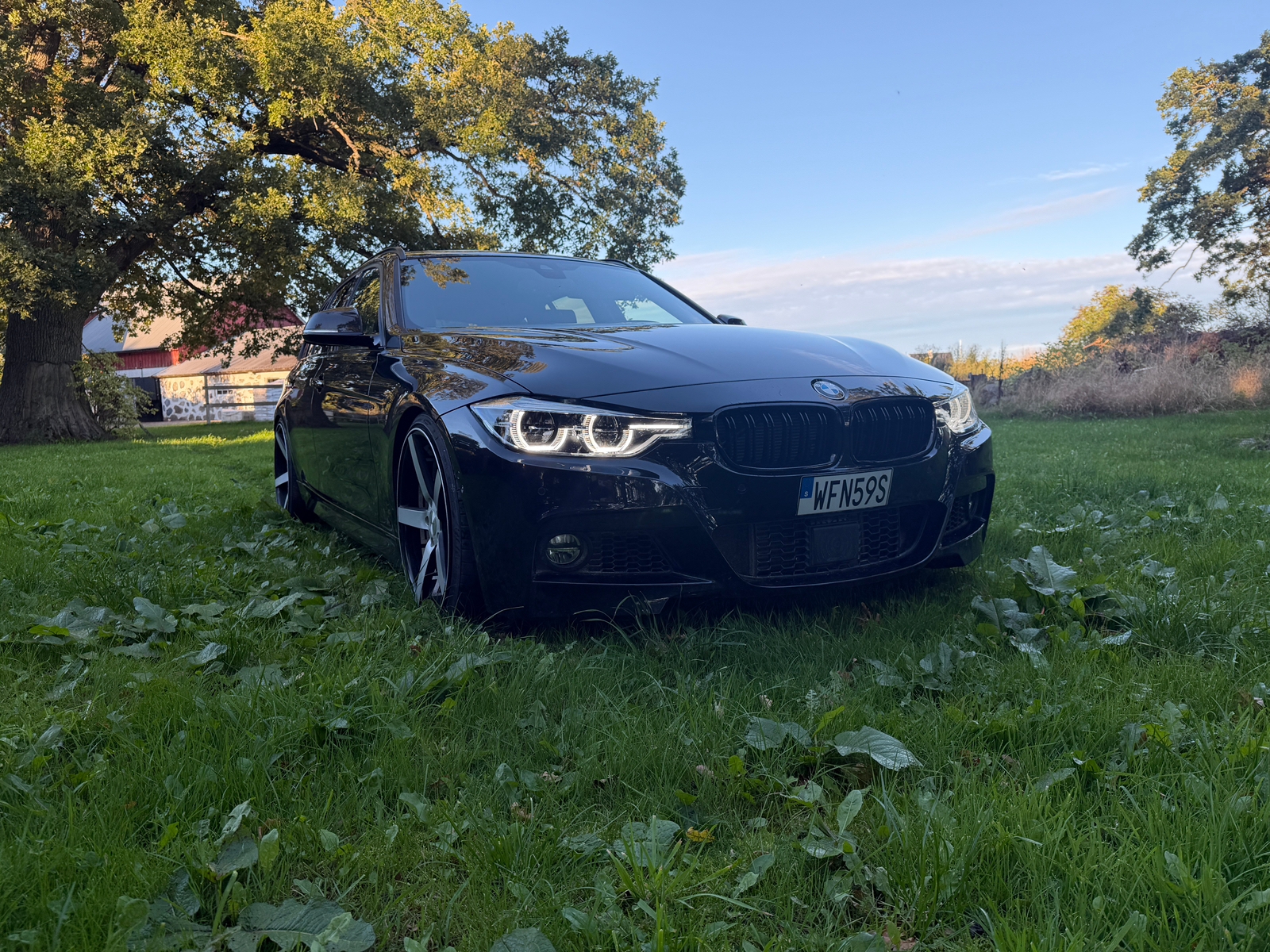 BMW 335 d M xdrive 2017, photo 8/8