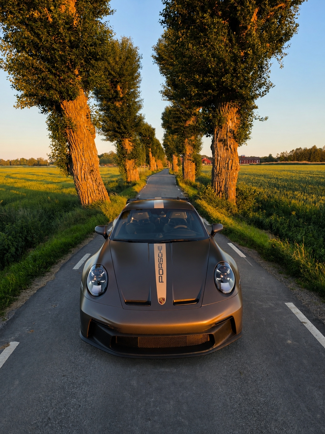 Porsche 911 2023, photo 3/7