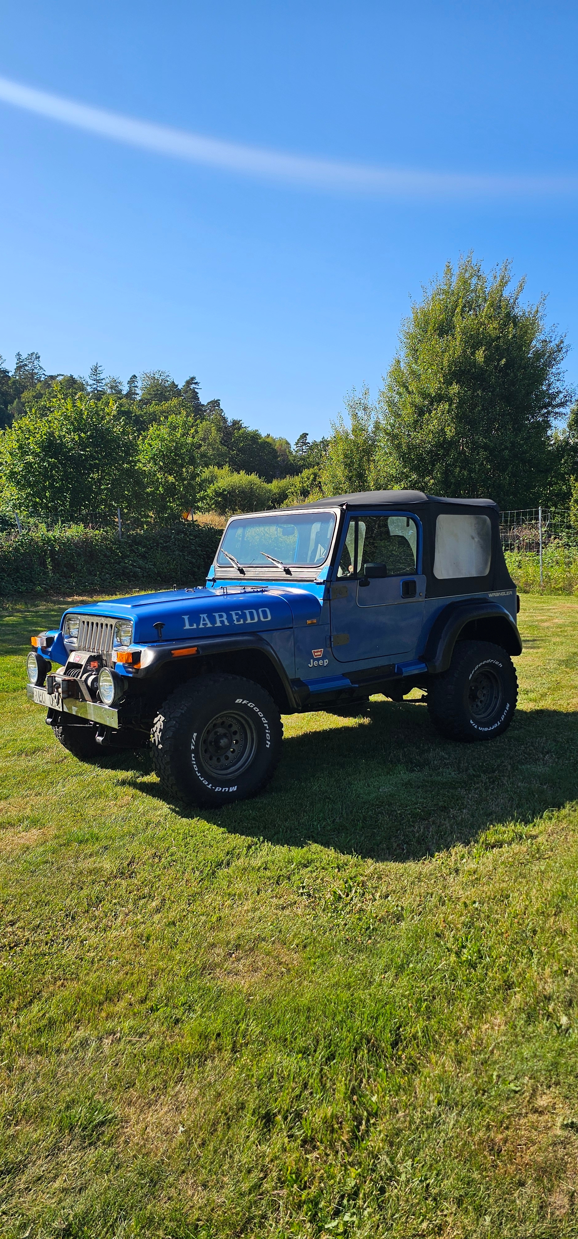 Jeep Wrangler 4.0 4WD Manuell 1992, bild 5/10