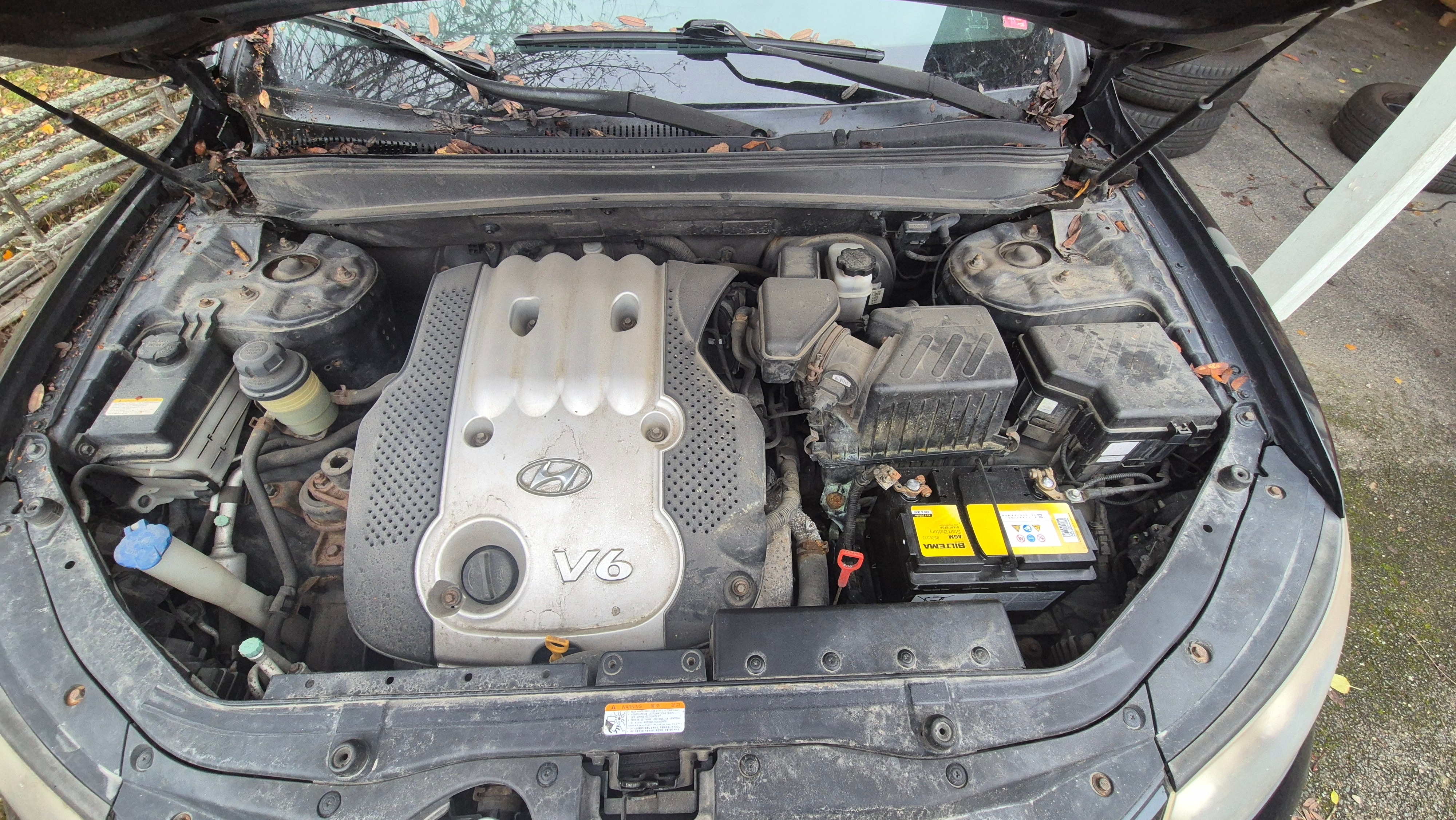 Hyundai Santa Fe 2.7 V6 2006, bild 7/10