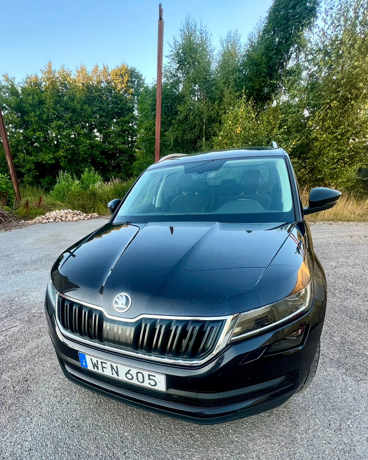 Skoda Kodiaq 2018, bild 2/15