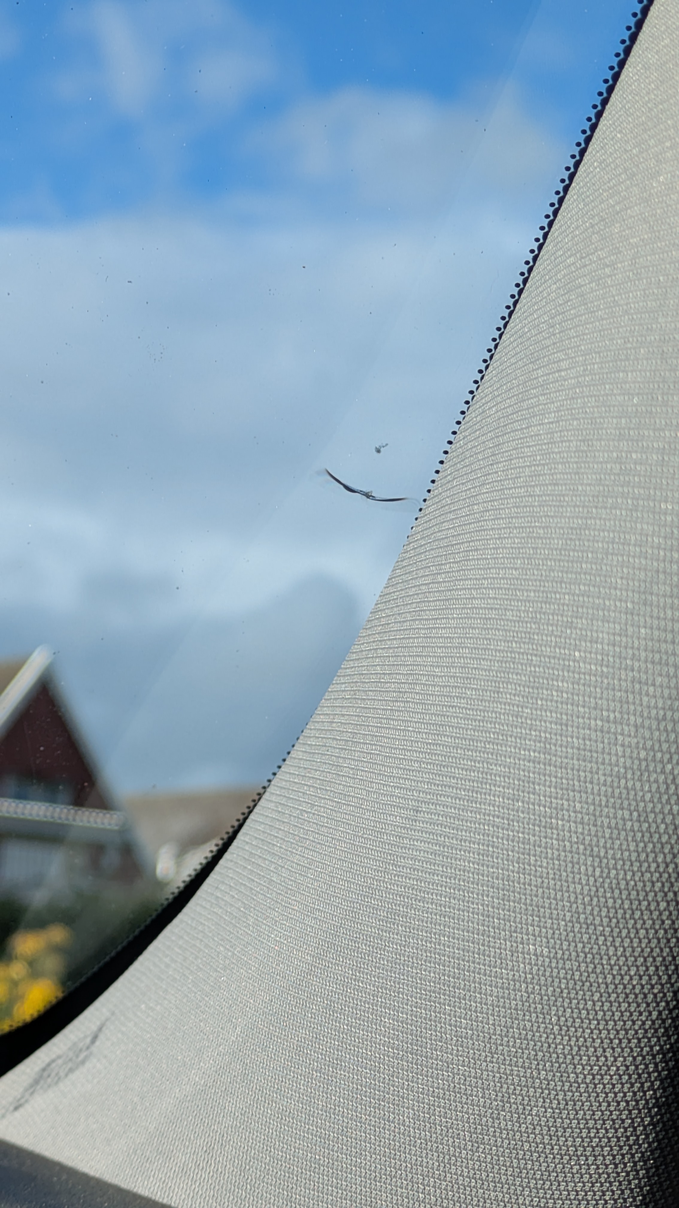 Volvo V50 D2 2011, photo 7/10
