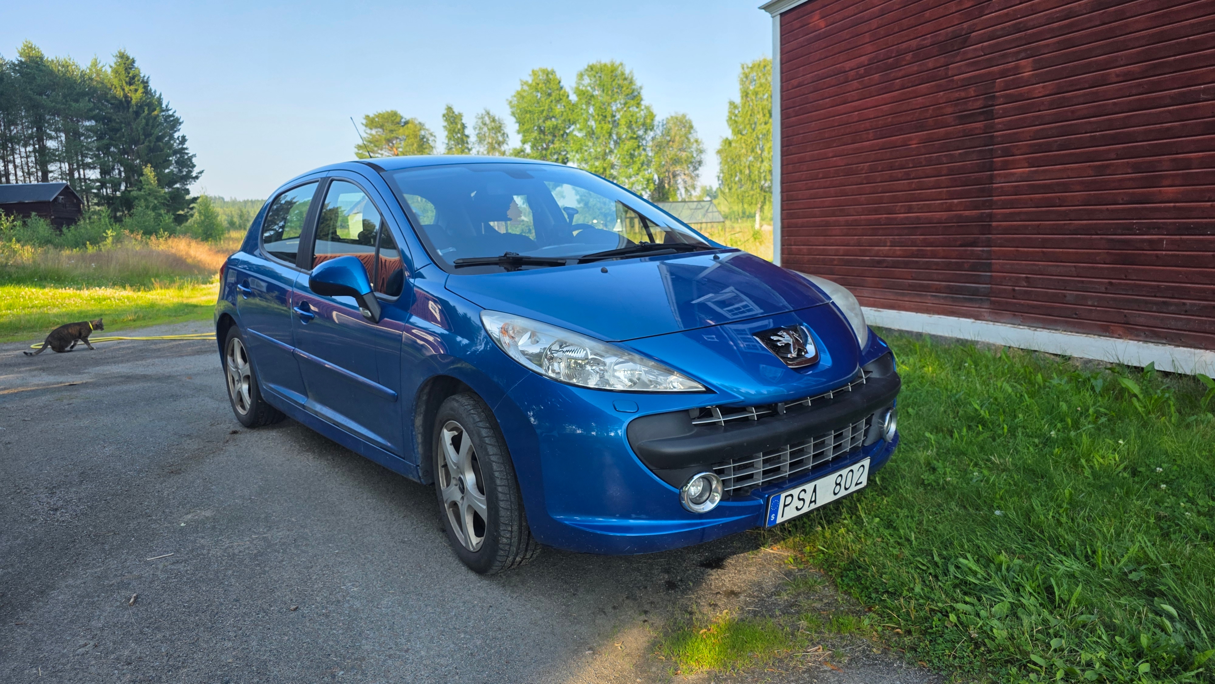 Peugeot 207