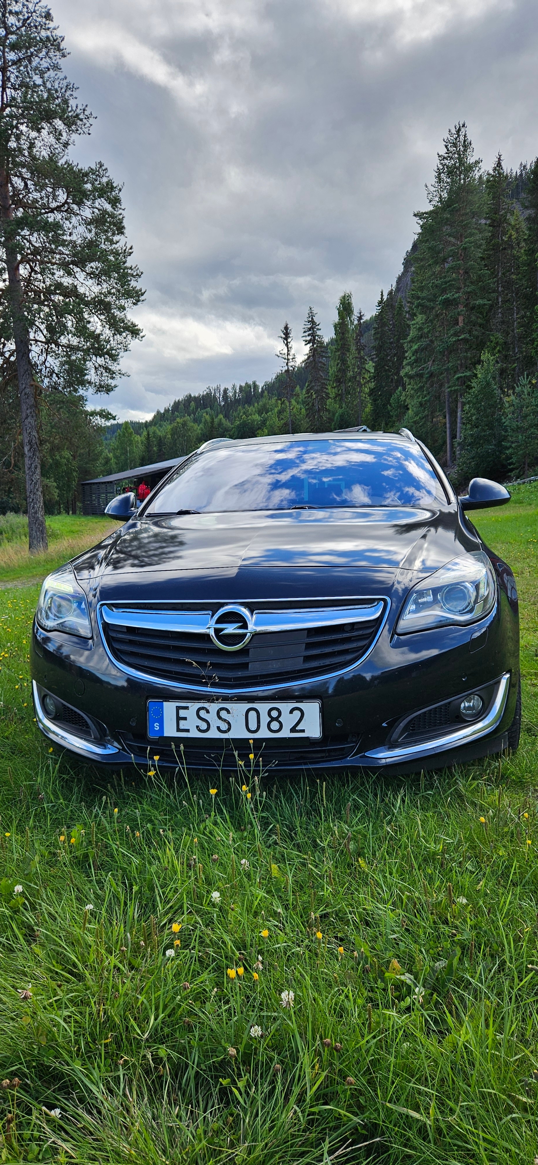 Opel Insignia 2015, bild 3/10