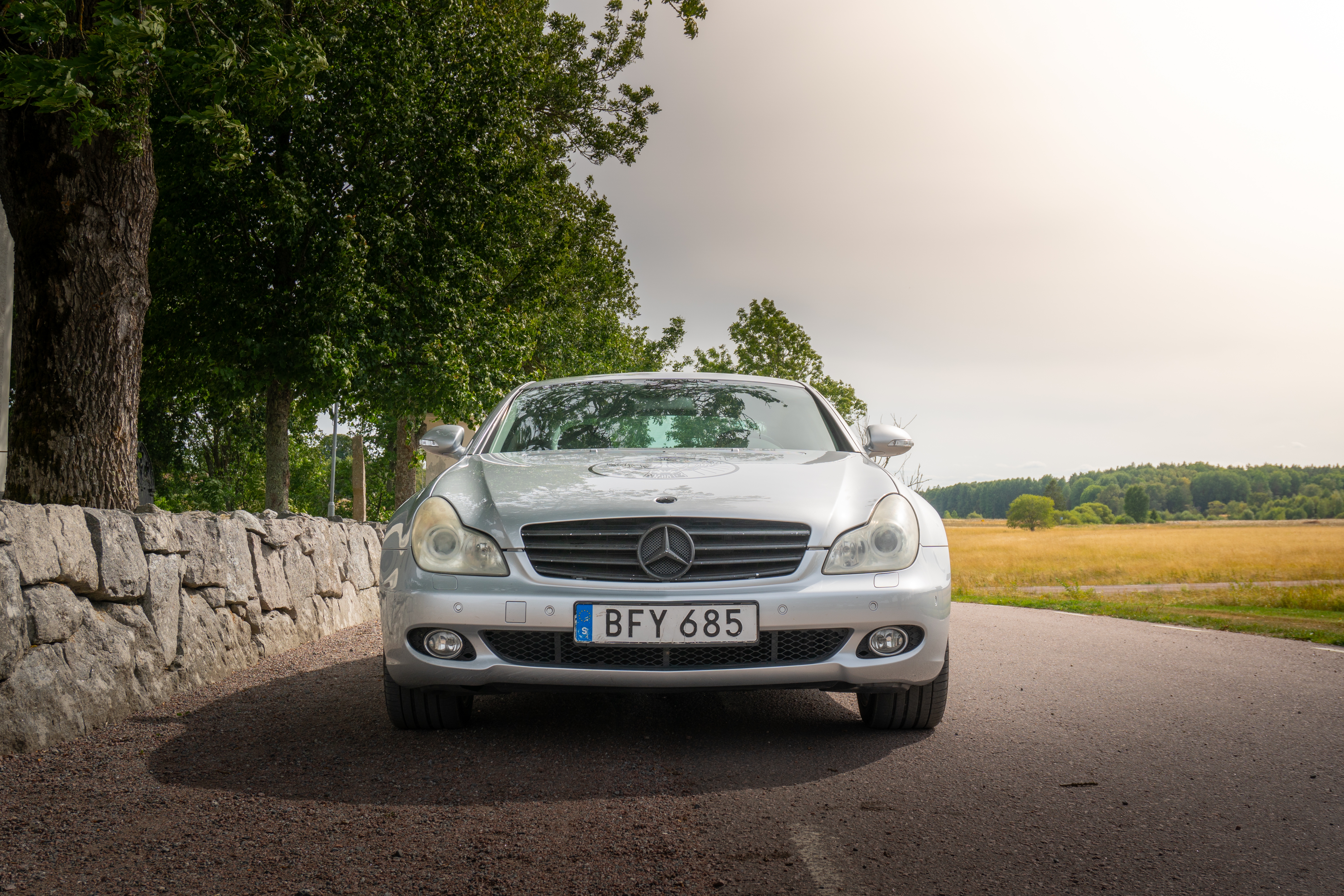 Mercedes-Benz CLS 350 Kylda säten 2005, kuva 2/10