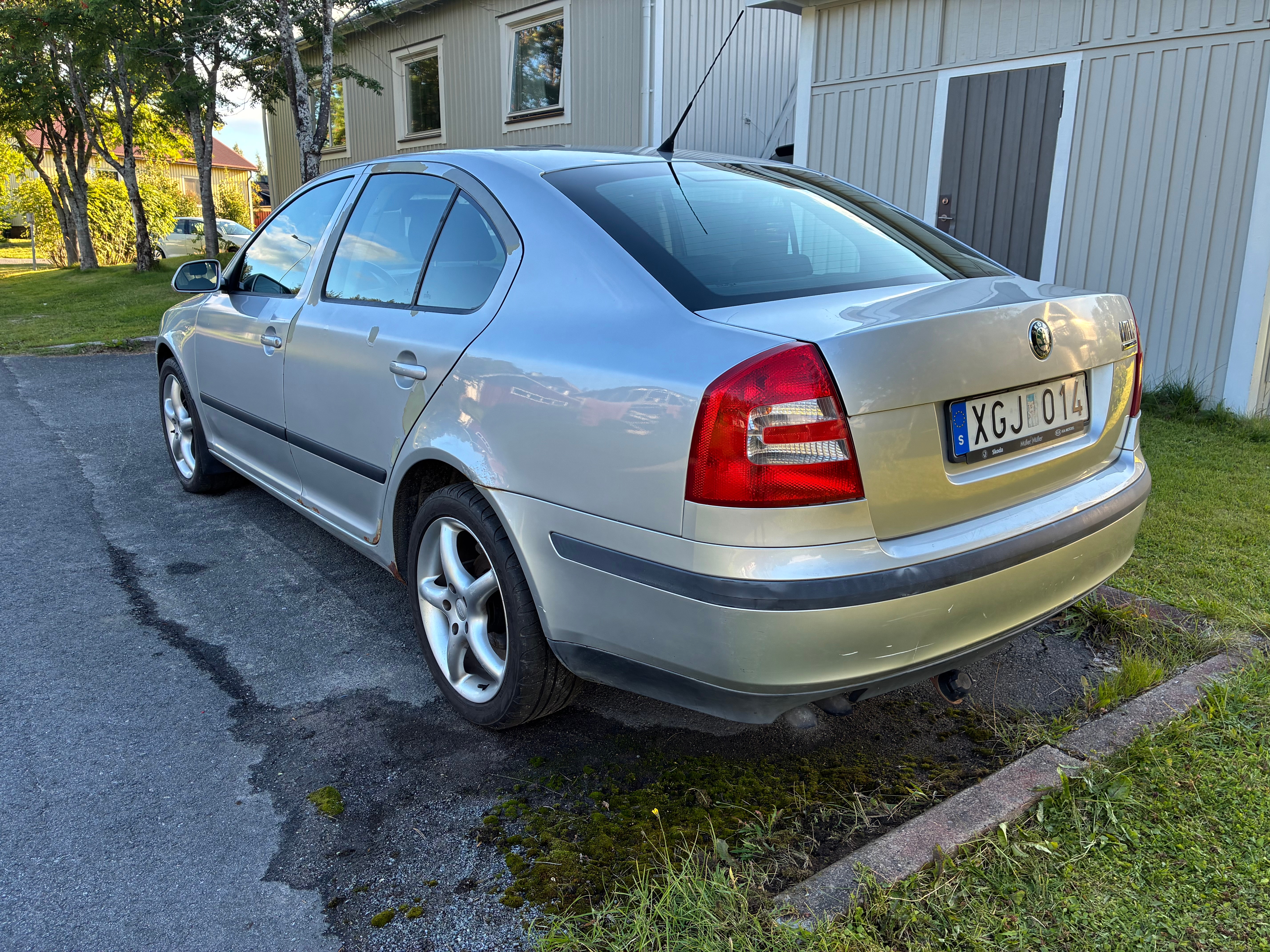 Skoda Octavia 1.9 TDI 8v DSG Sekventiell 2006, bild 3/10