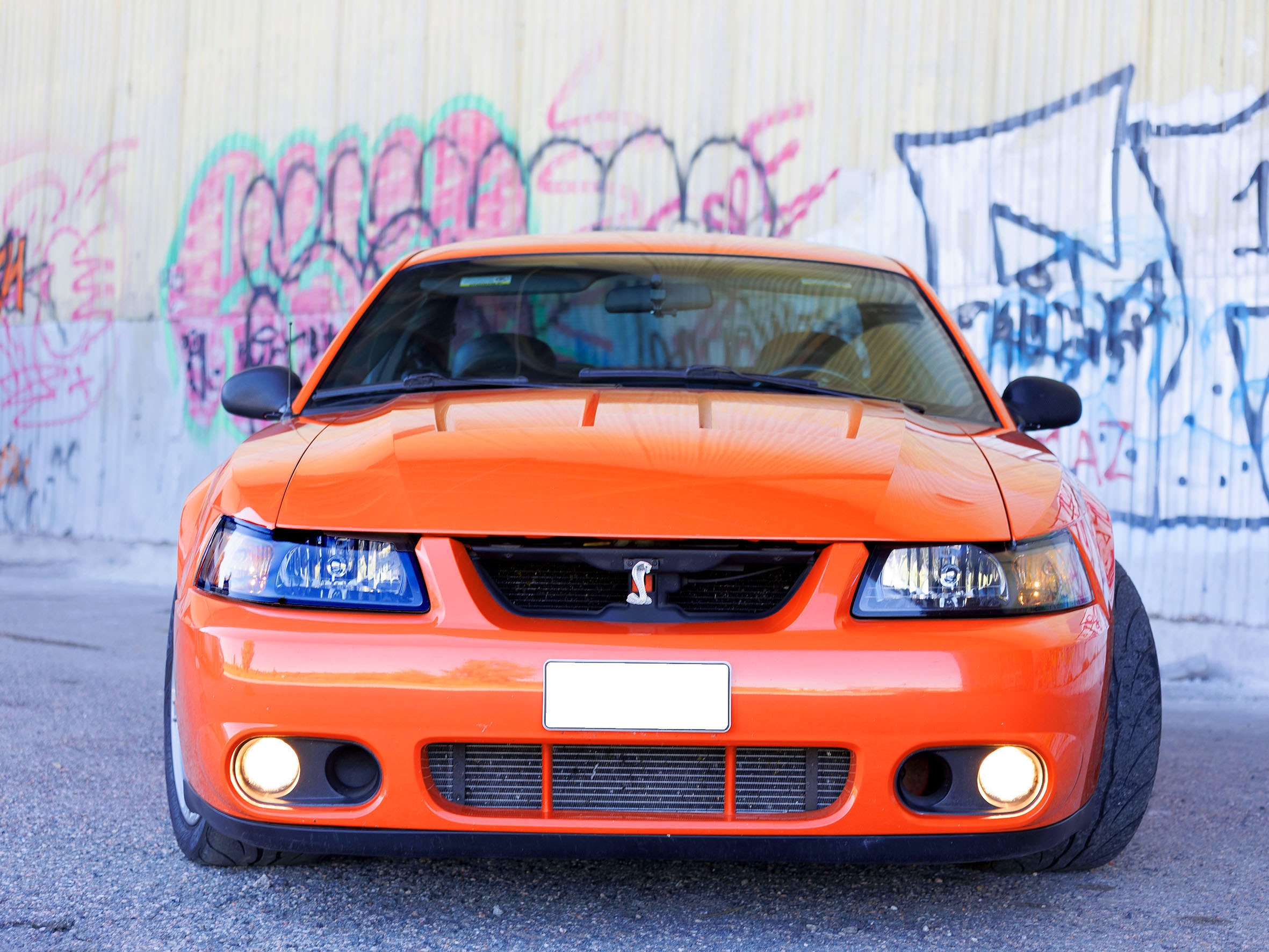 Ford Mustang Cobra 2004, bild 3/19