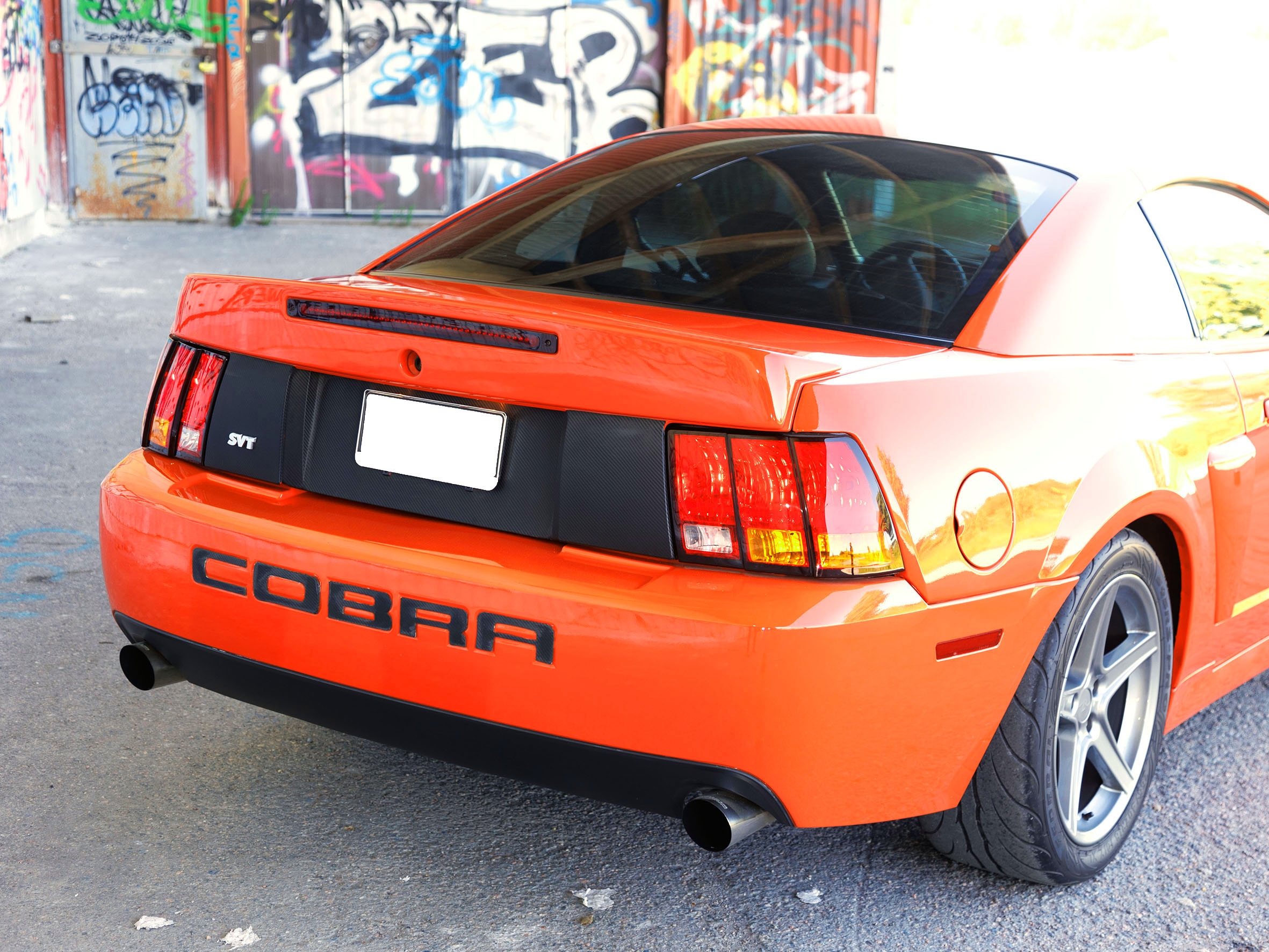Ford Mustang Cobra 2004, bild 4/19