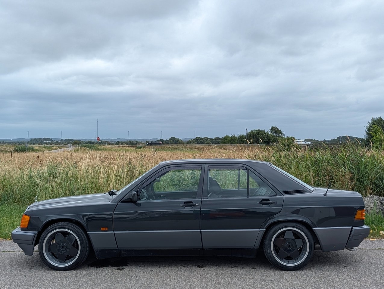 Mercedes-Benz 190 1991, bild 5/13