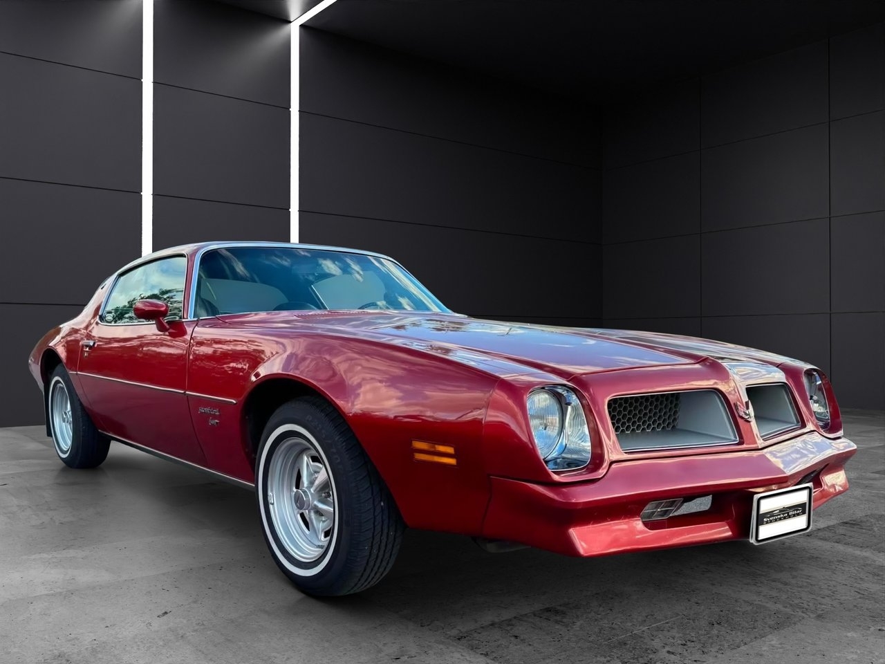 Pontiac Firebird 1976, bild 3/10