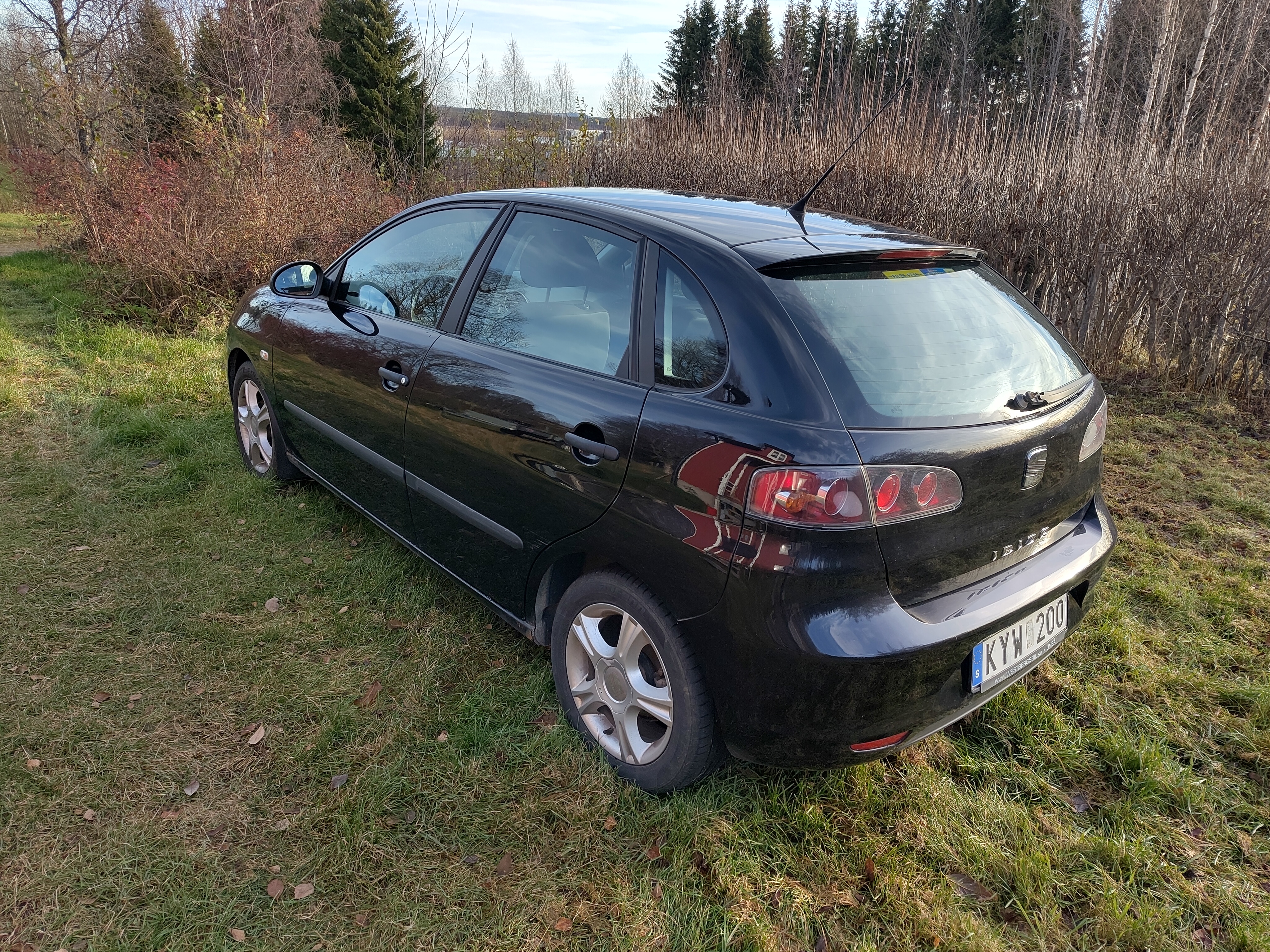 Seat Ibiza 1.4 16V 2008, bild 2/8