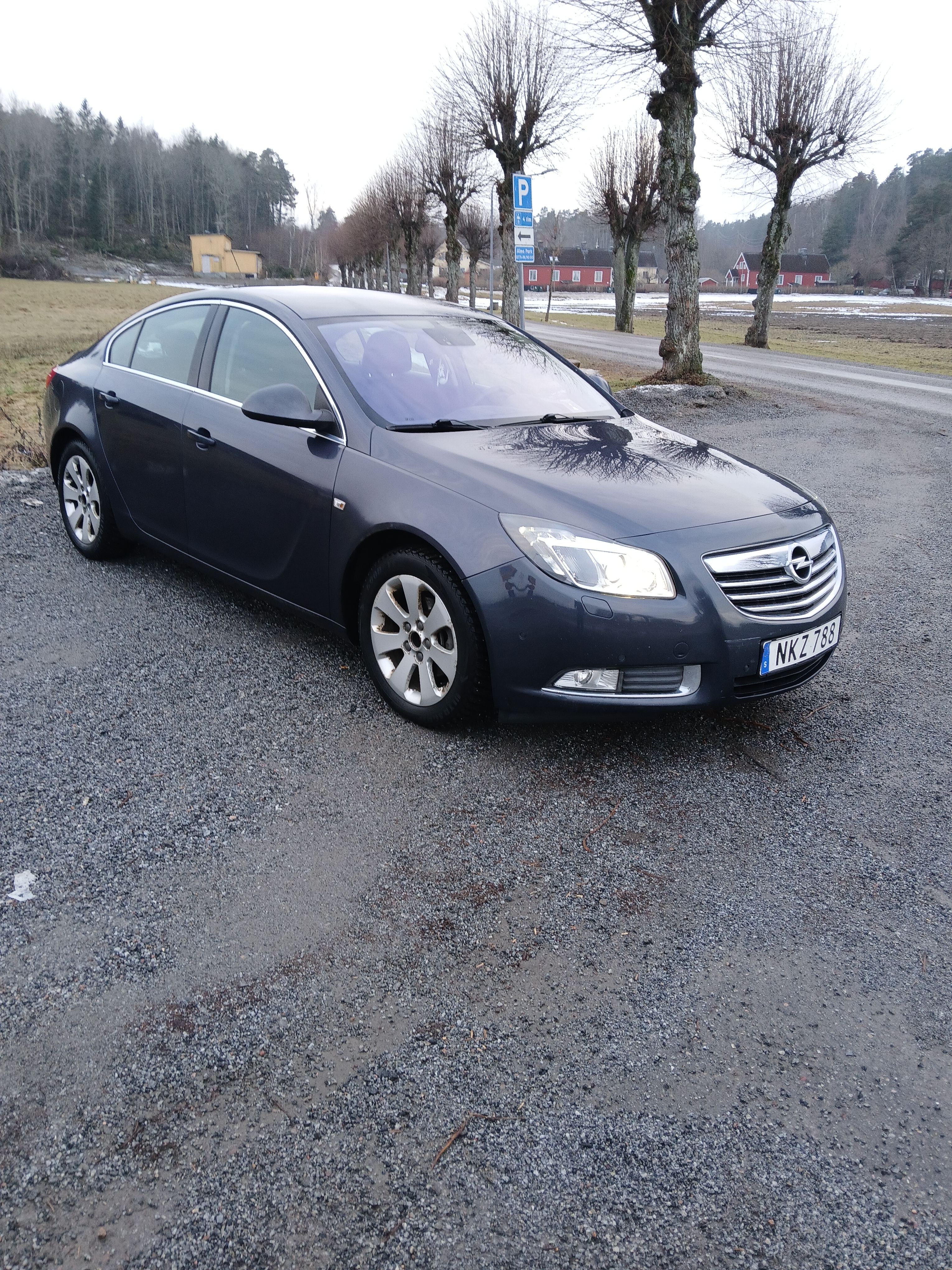 Opel Insignia 2011, bild 3/10