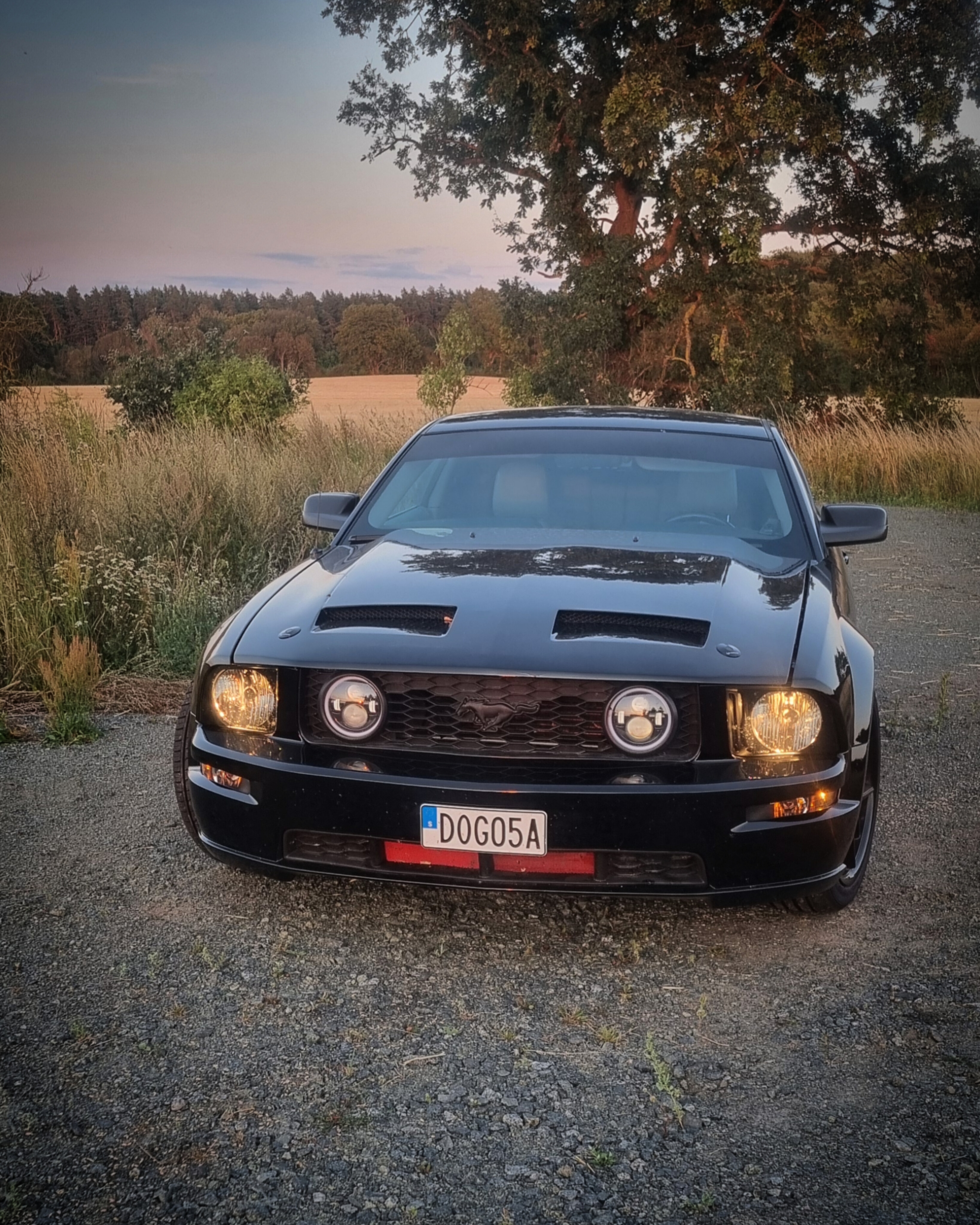 Ford Mustang GT Manuell 2006, kuva 4/7
