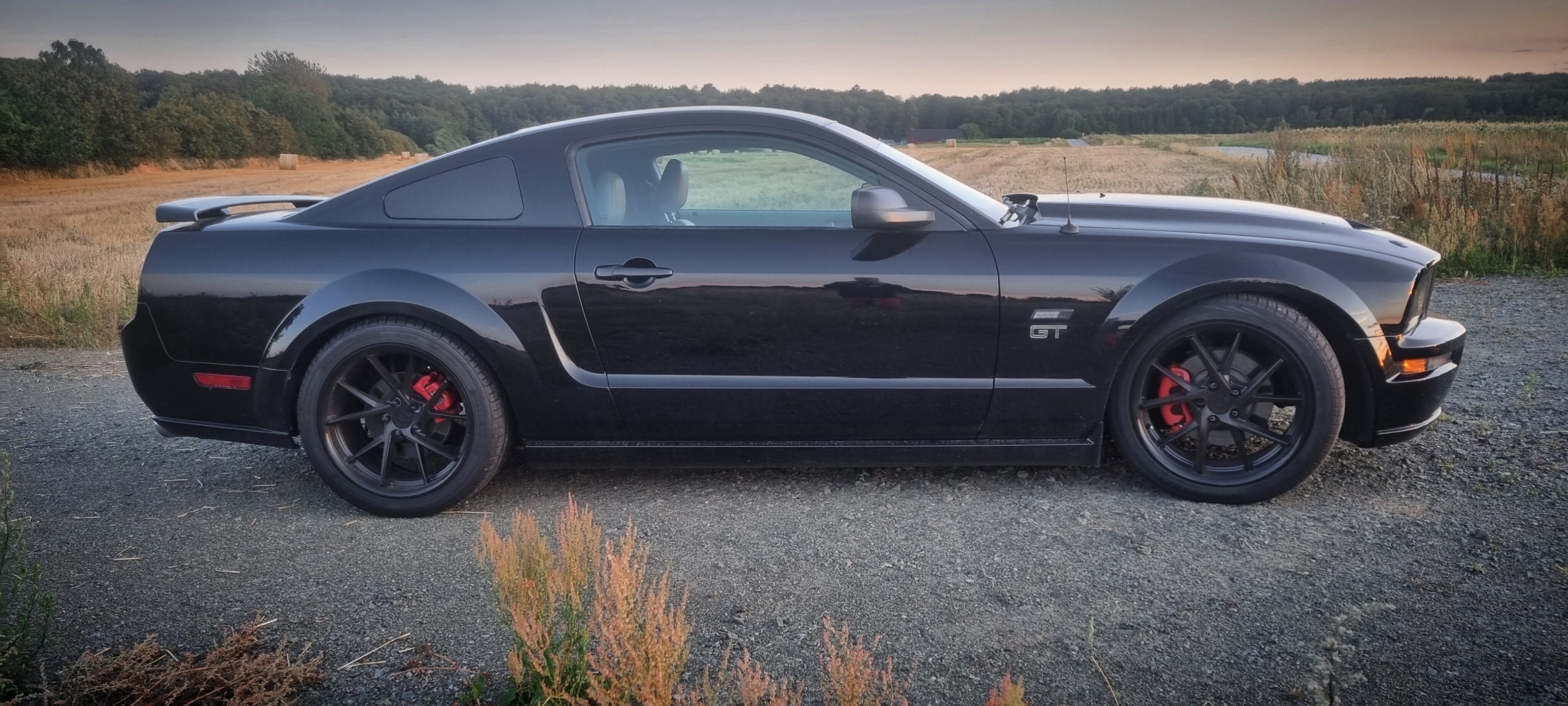 Ford Mustang GT Manuell 2006, kuva 3/7