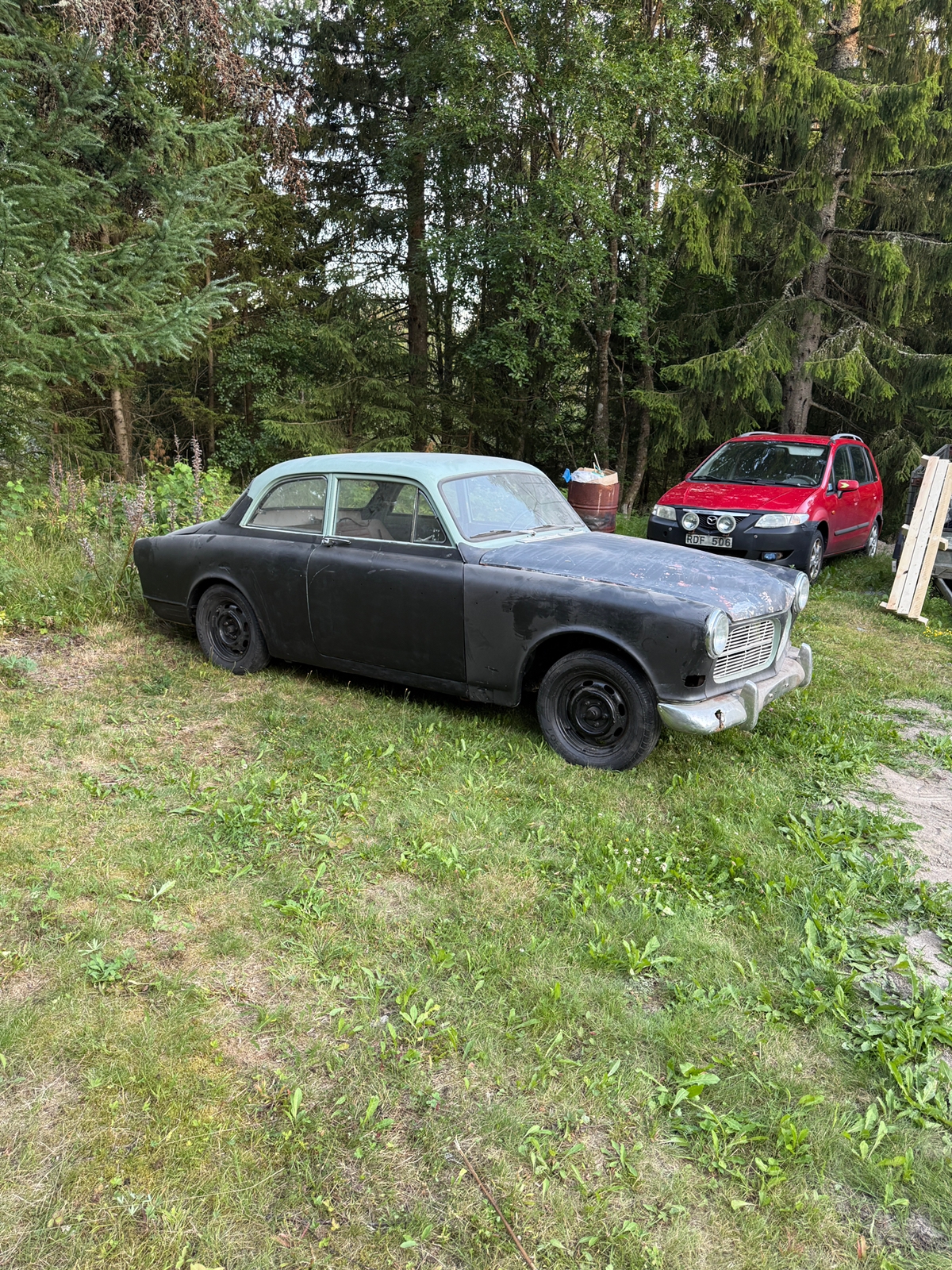 Volvo Amazon