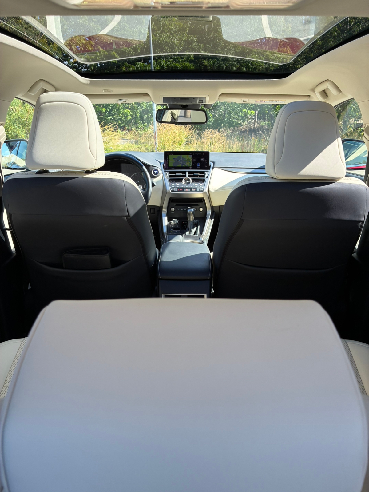Lexus NX 300h Exekutiv 2020, bild 7/7