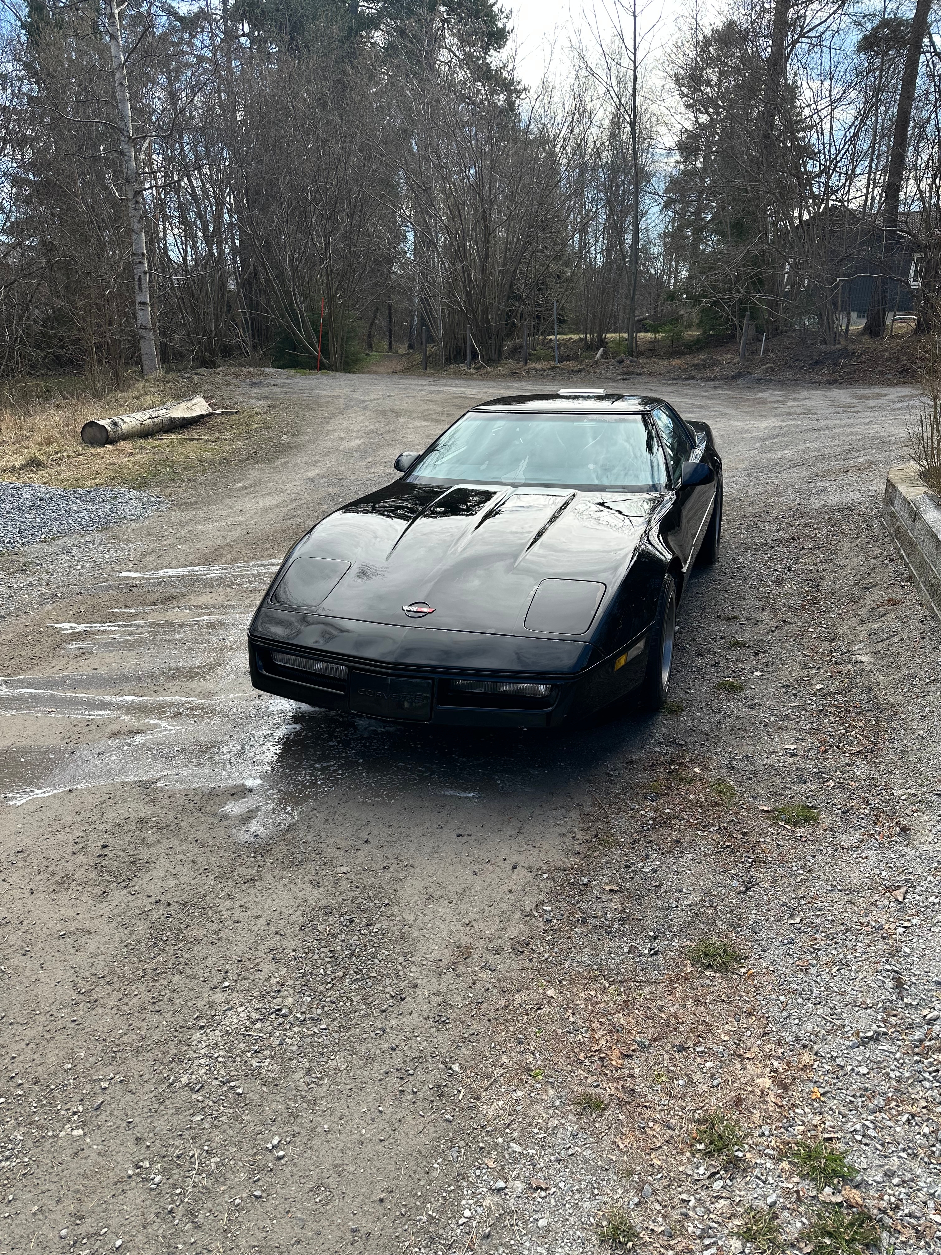 Chevrolet Corvette 5.7 V8 CFI Automatisk 1984, bild 3/5