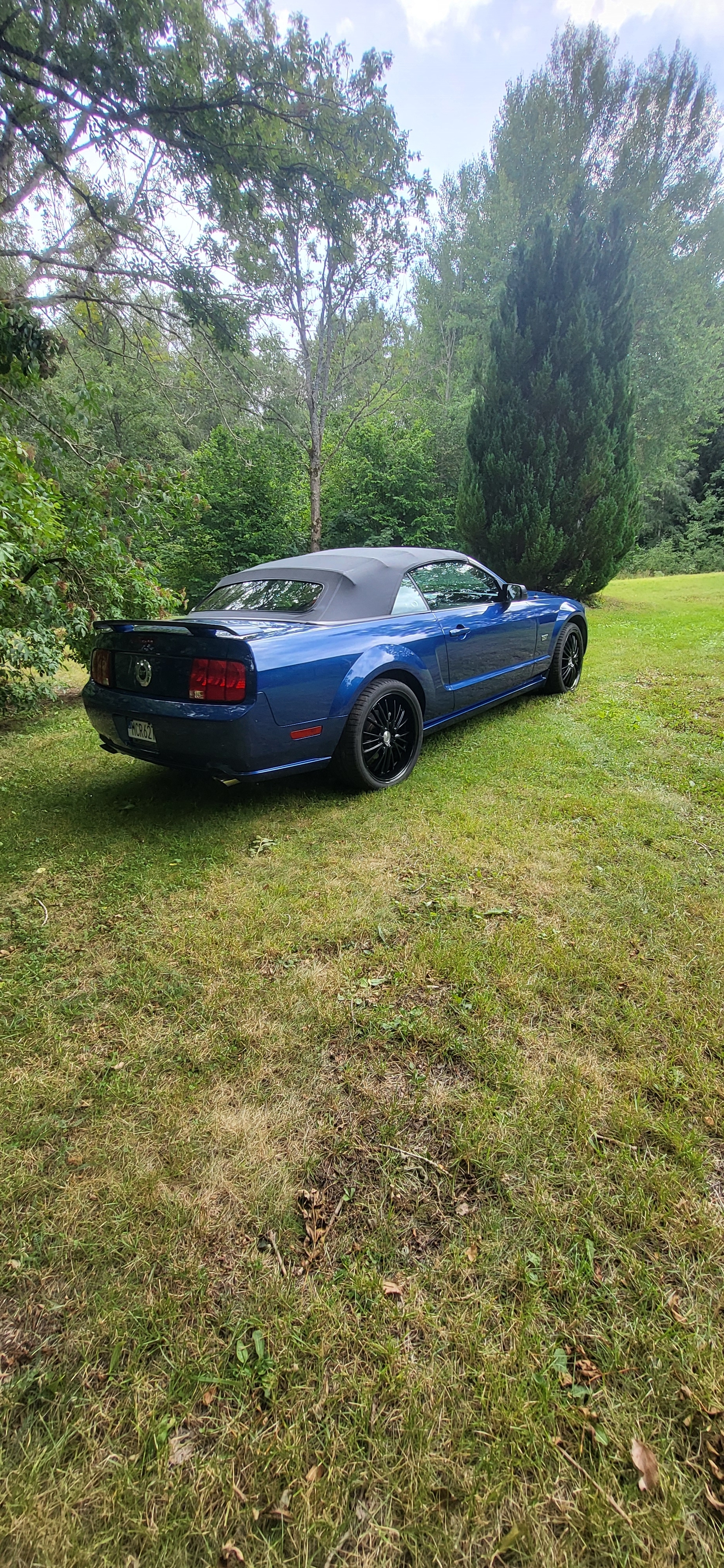 Ford Mustang GT Convertible Automatisk 2006, bild 3/5