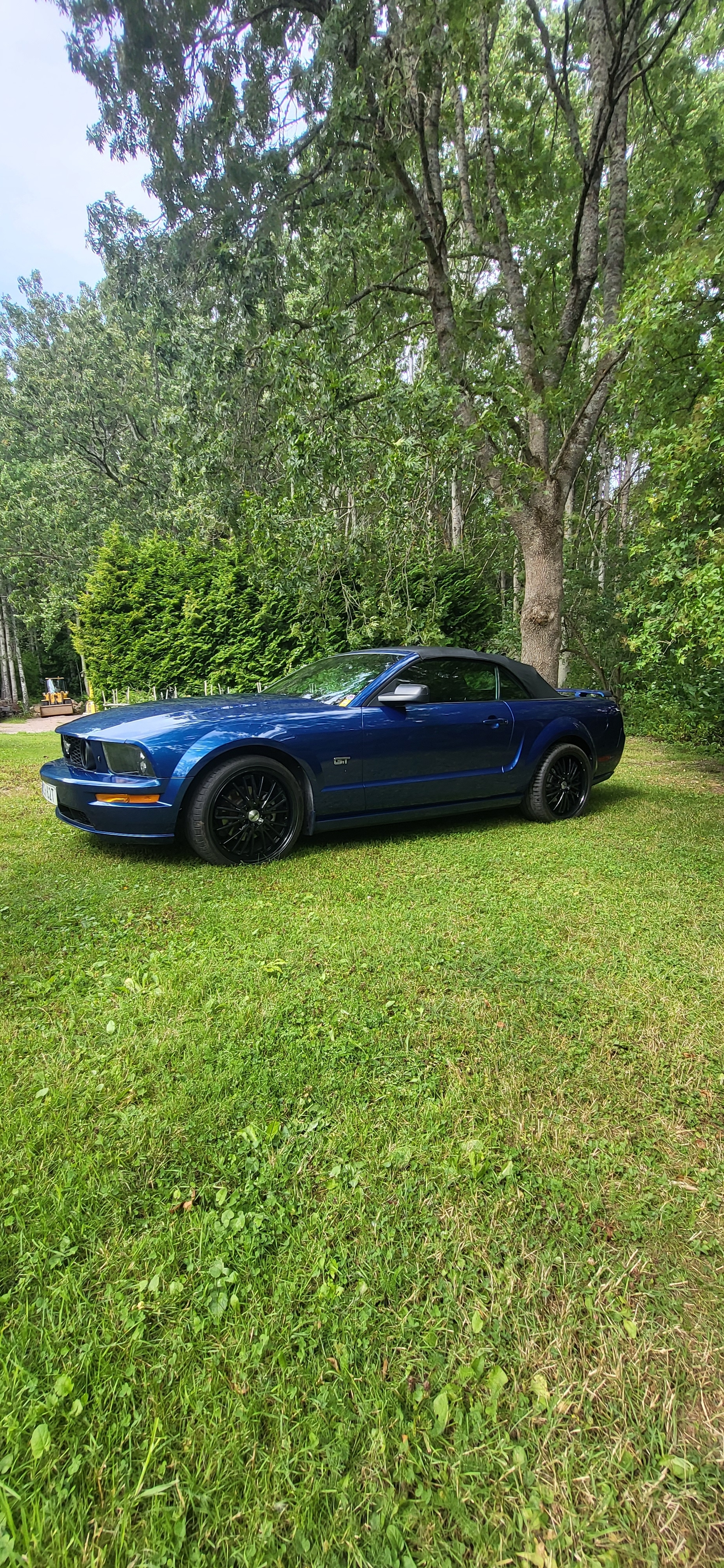 Ford Mustang GT Convertible Automatisk 2006, bild 5/5