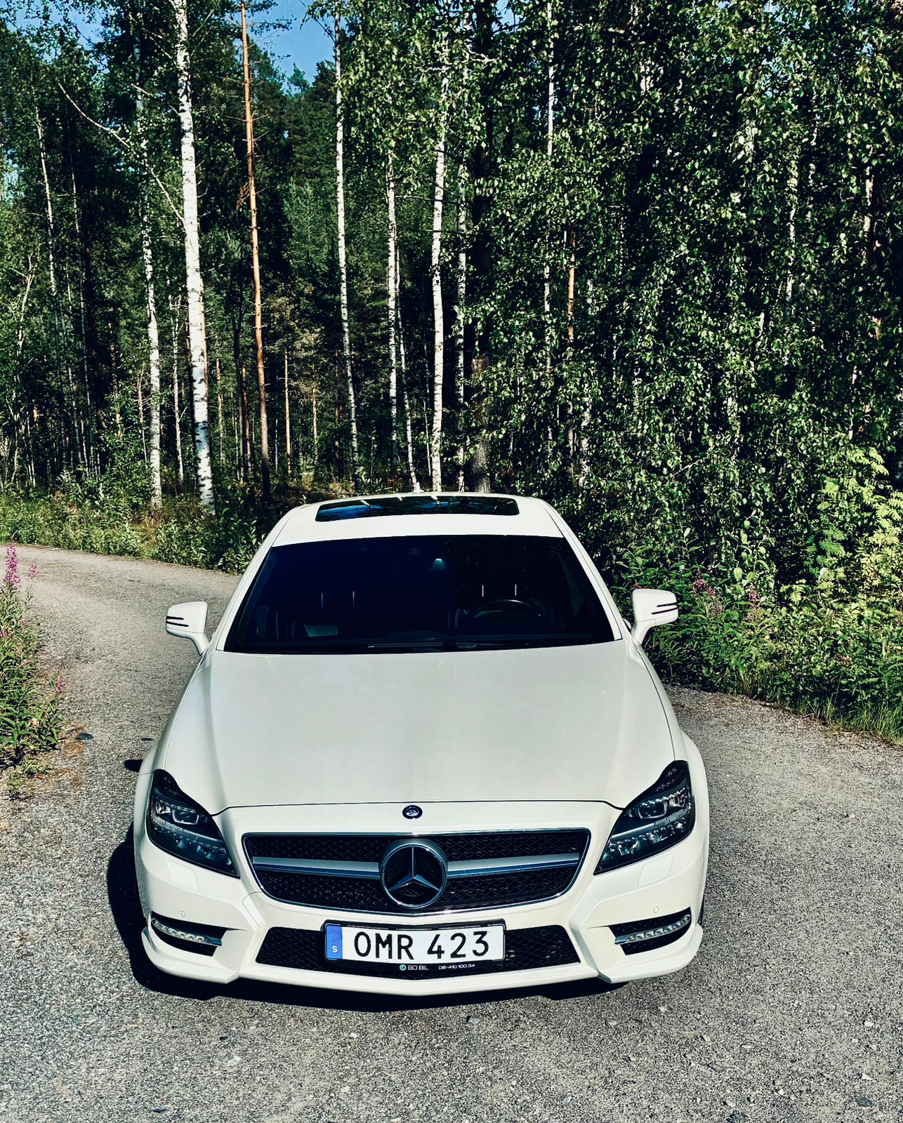 Mercedes-Benz CLS 2013, bild 4/8