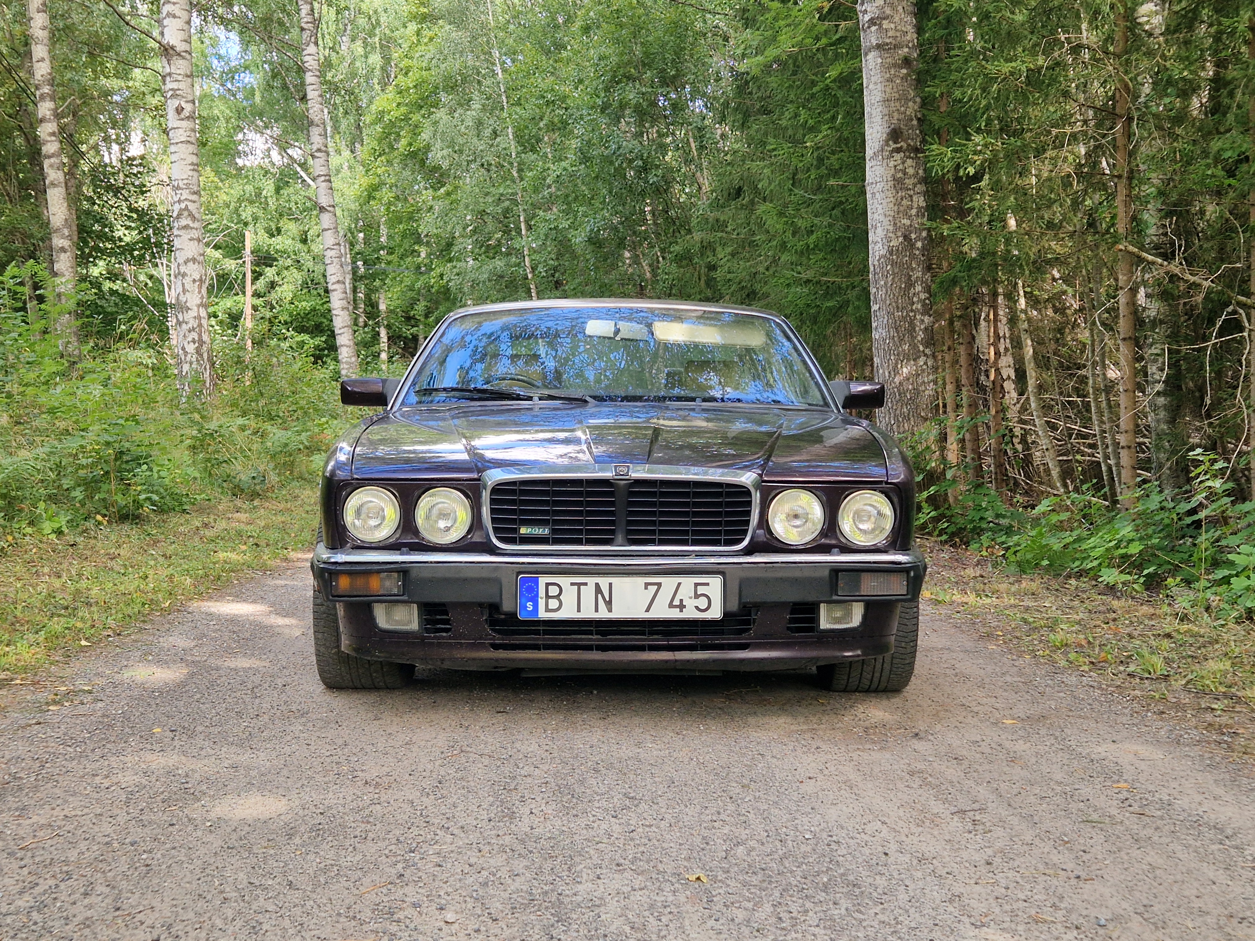 Jaguar XJ