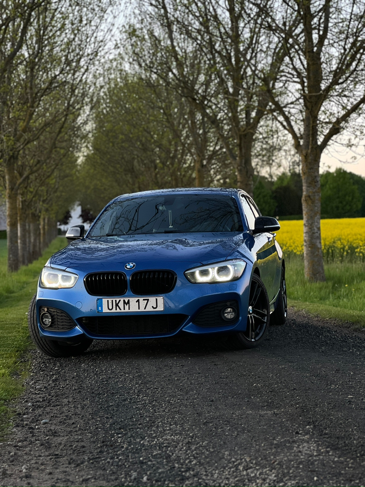 BMW 120 i M-sport 2019, bild 2/8