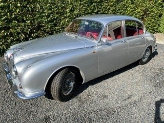 Jaguar Mark