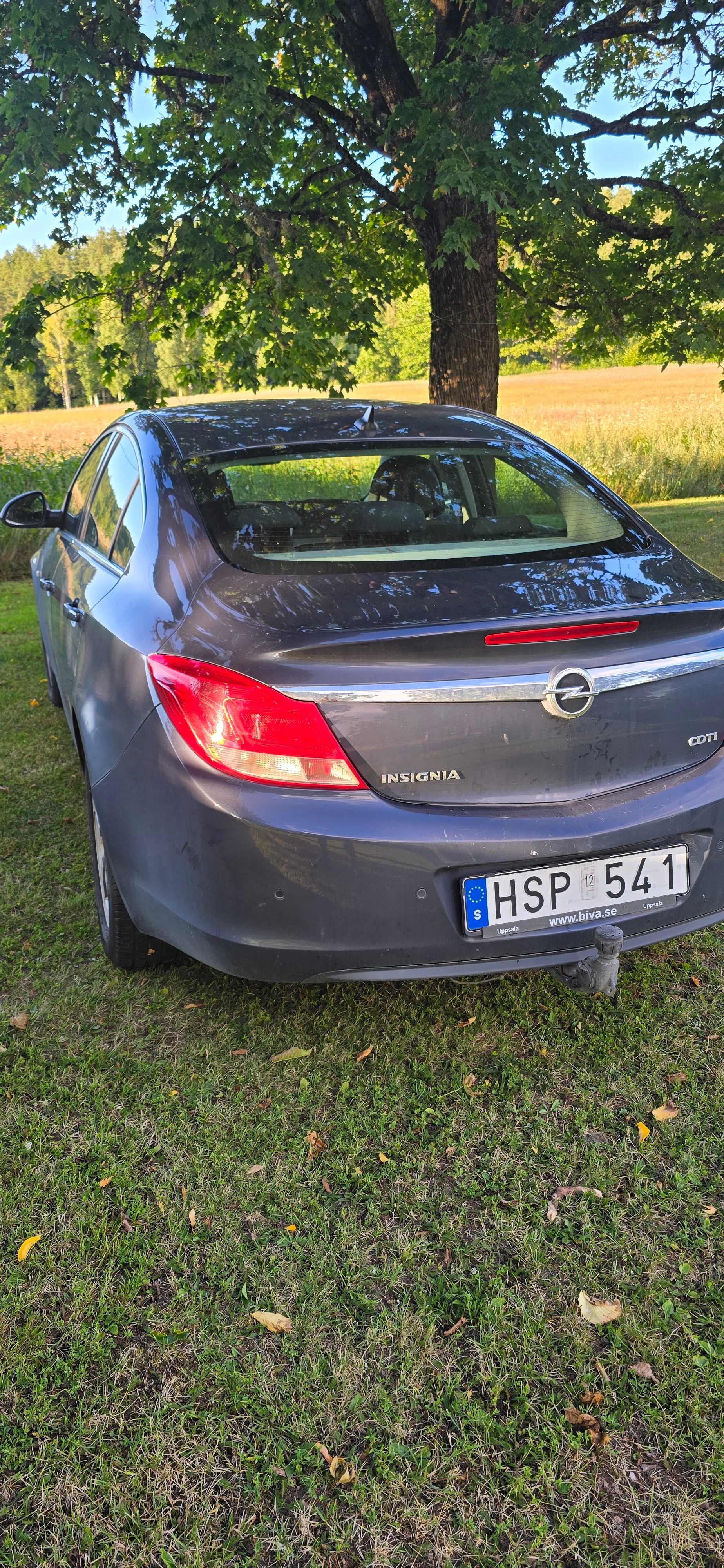 Opel Insignia Sedan 2.0 CDTI Manuell 2009, bild 2/6