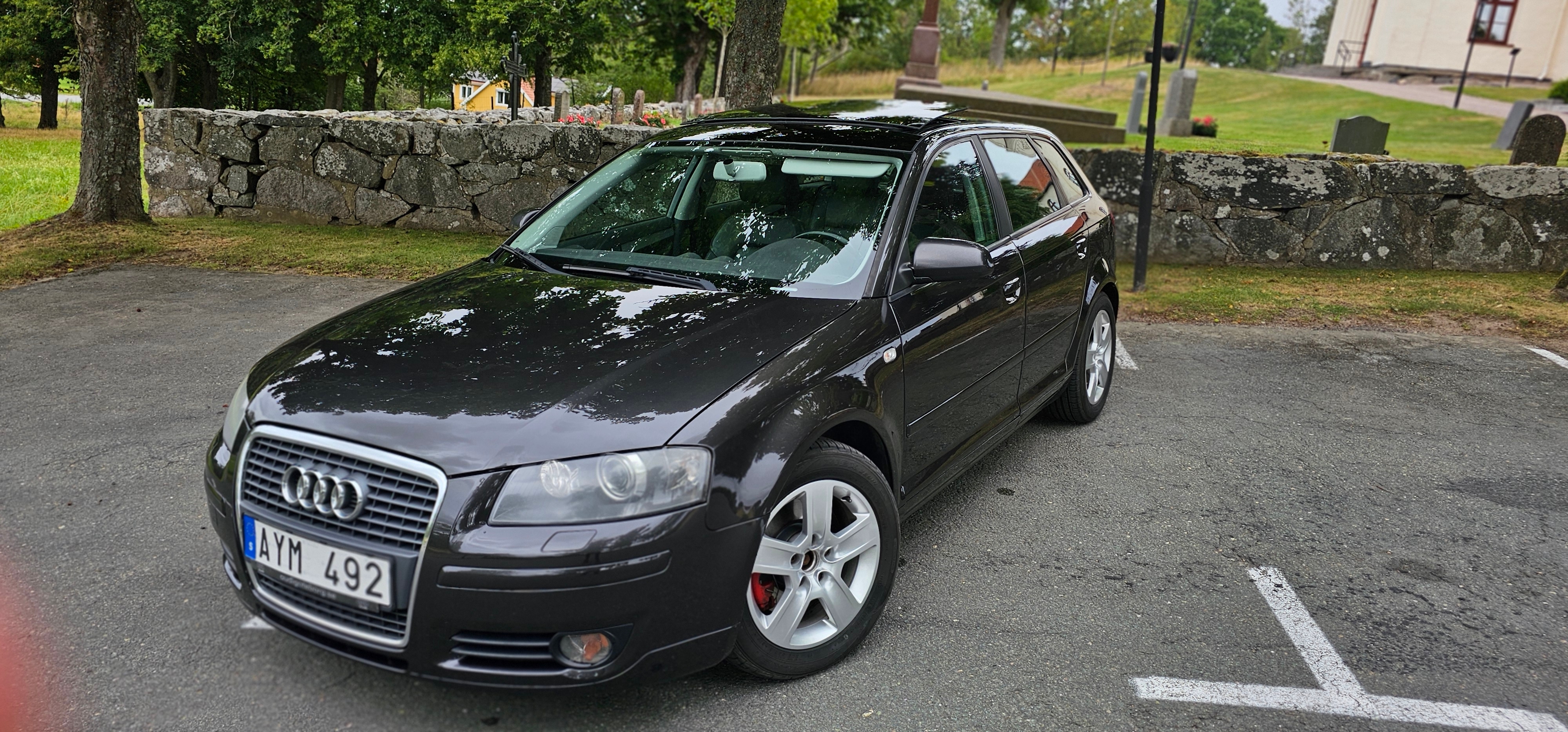 Audi A3 Sportback 2.0 TFSI S Tronic 2006, bild 3/6