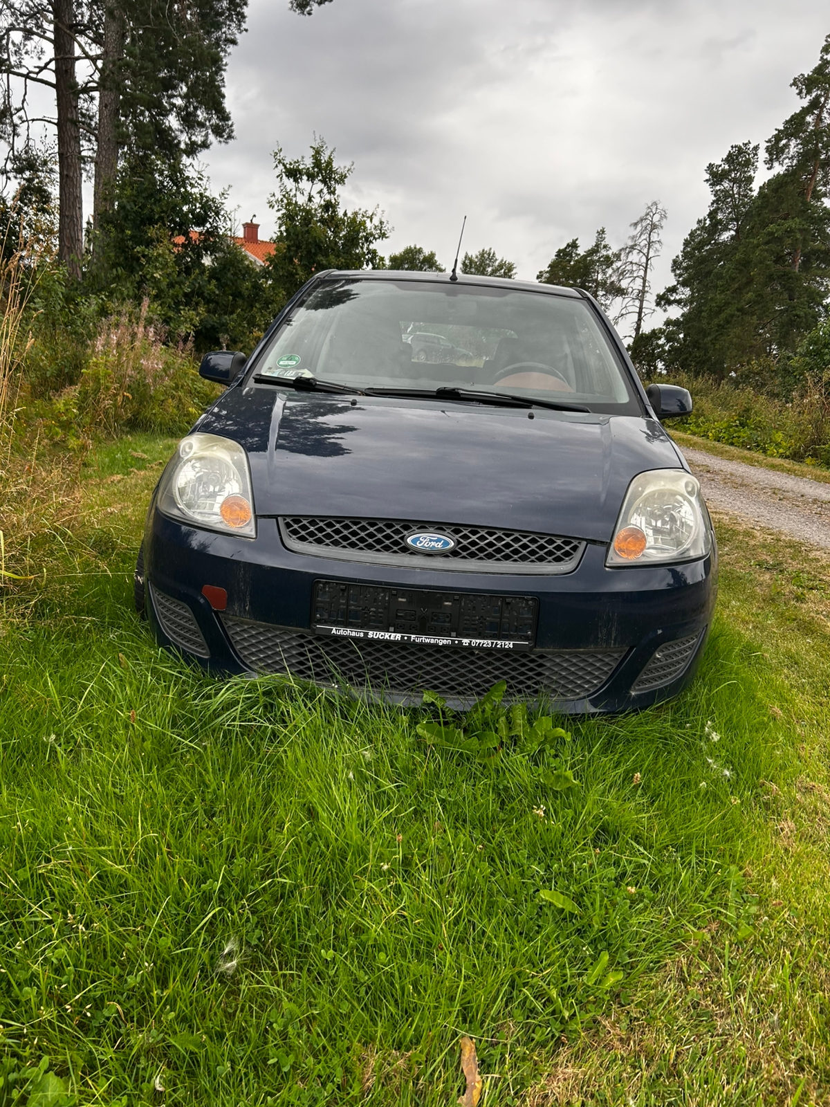 Ford Fiesta 2007, bild 2/6