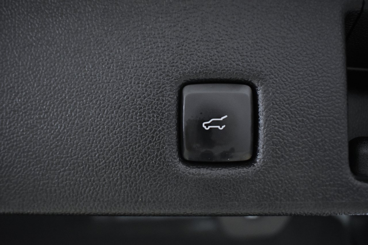 Ford Kuga Plug-In Hybrid ST-Line Drag 2023, bild 6/10