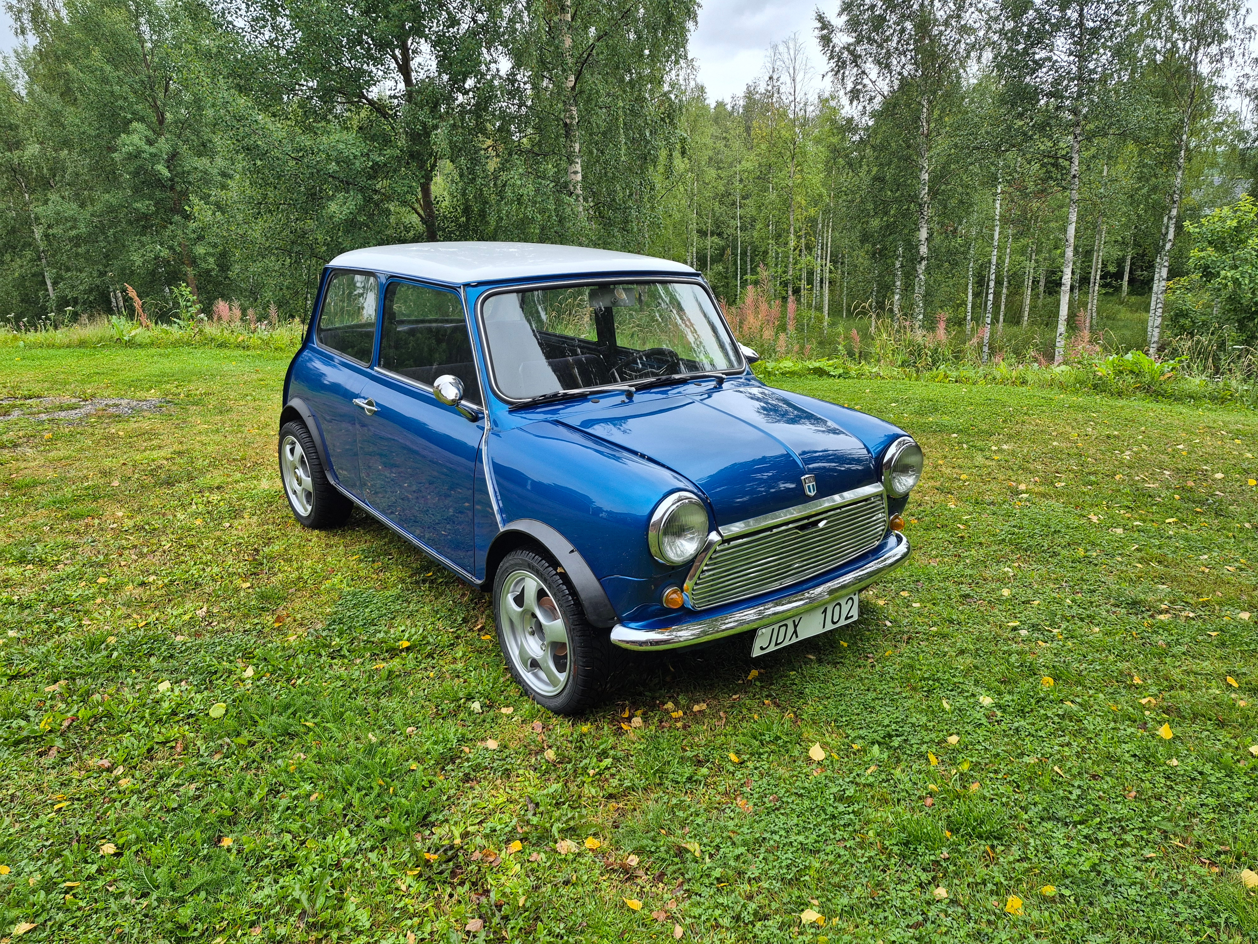 Austin Mini