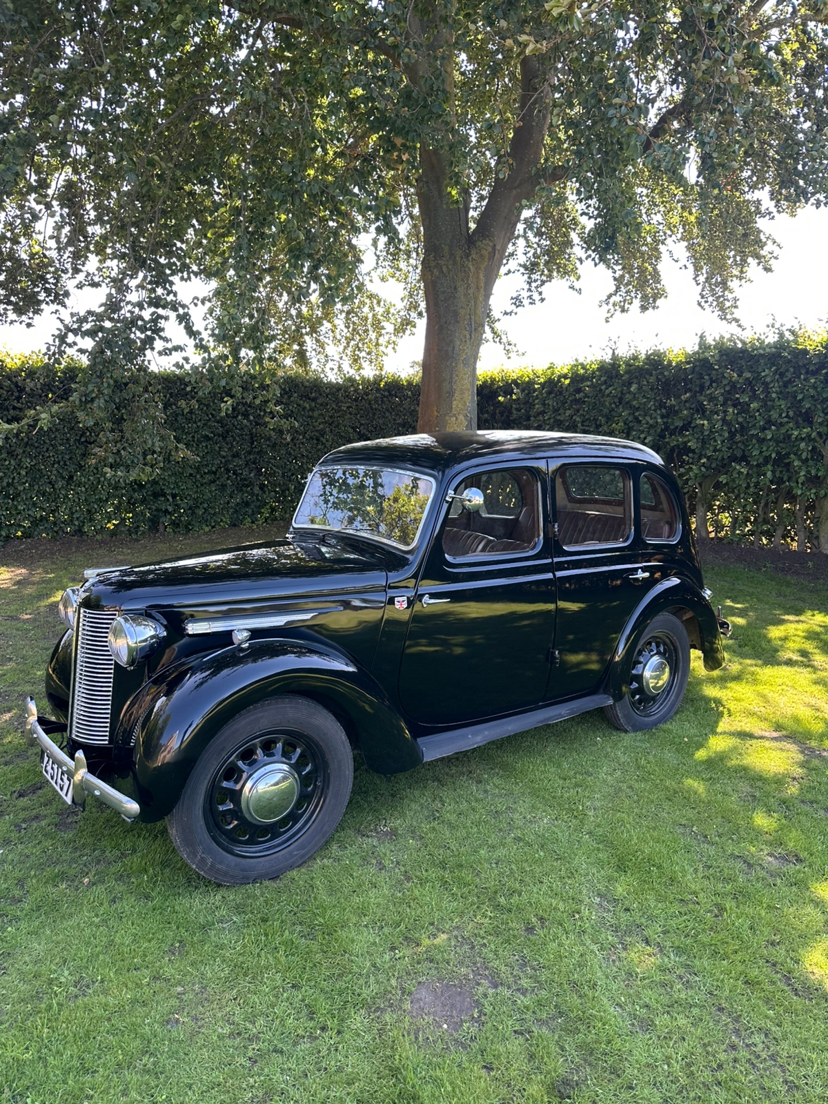 Austin Eight 1946, bild 4/10