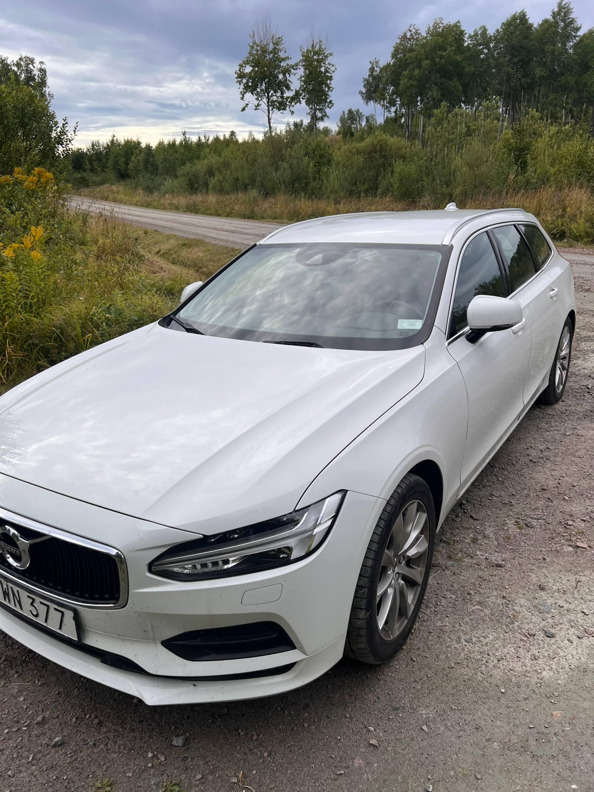 Volvo V90 T5 Bi-Fuel Geartronic 2018, bild 4/7