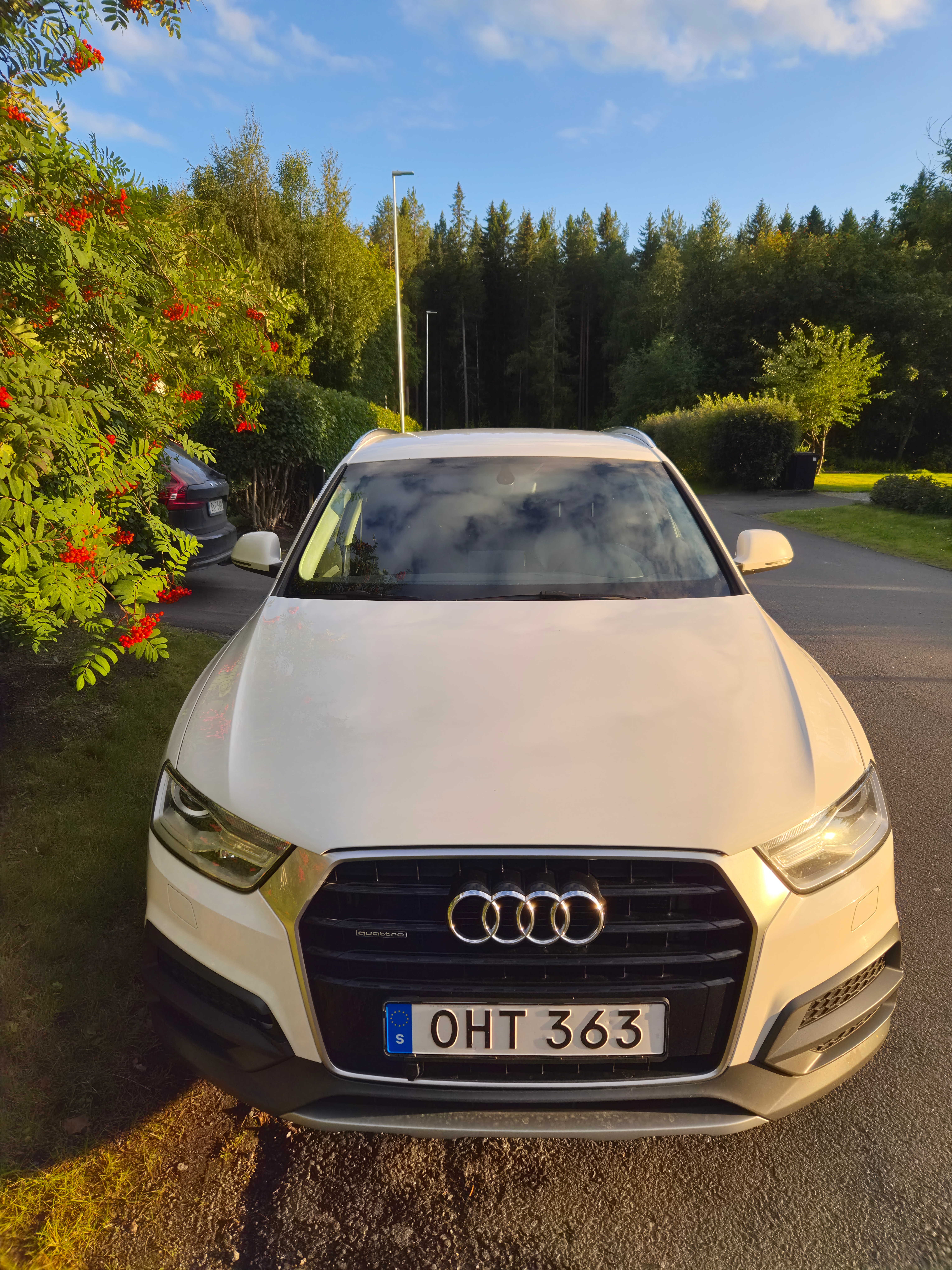 Audi Q3 2.0 TDI quattro S Tronic 2017, bild 4/7