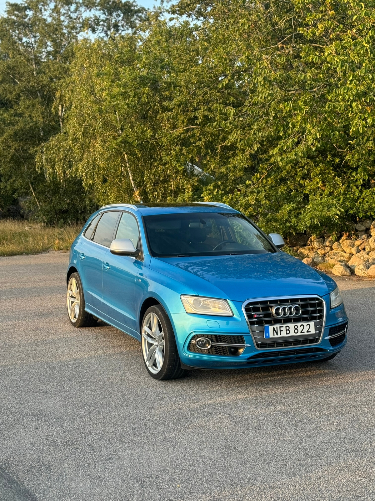 Audi SQ5 2013, bild 5/9