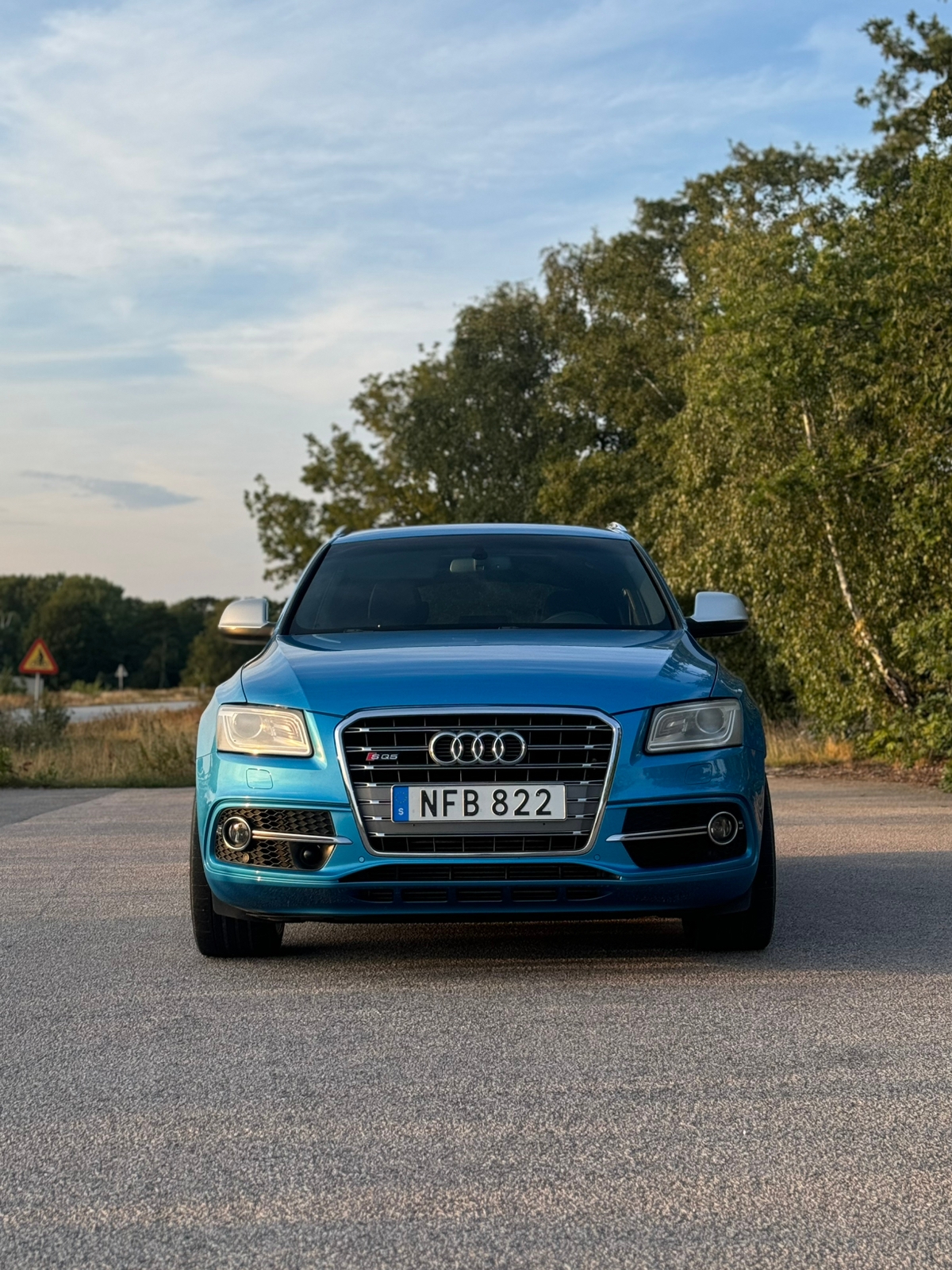 Audi SQ5 2013, bild 2/9