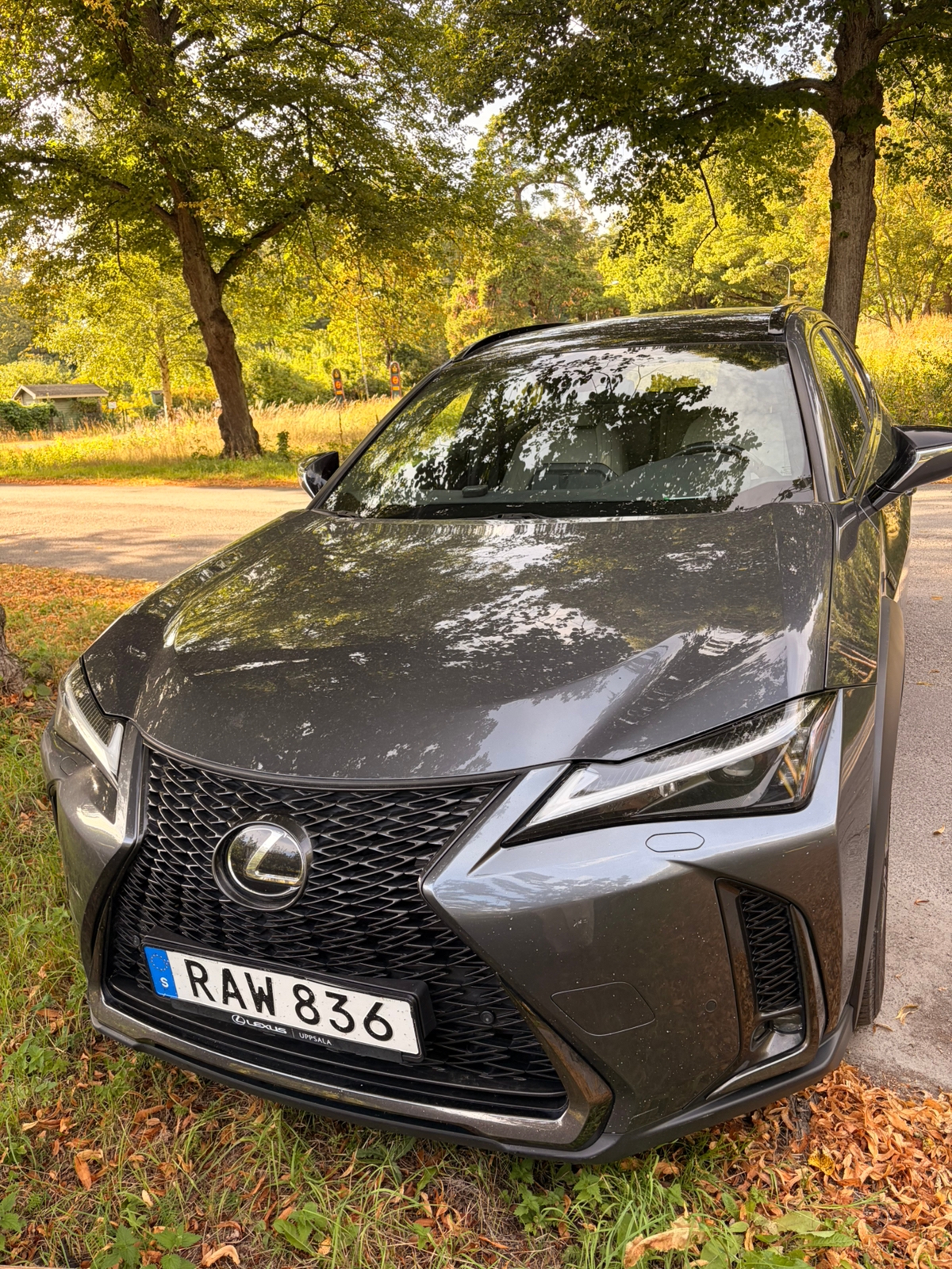 Lexus UX 250h CVT 2023, bild 7/10