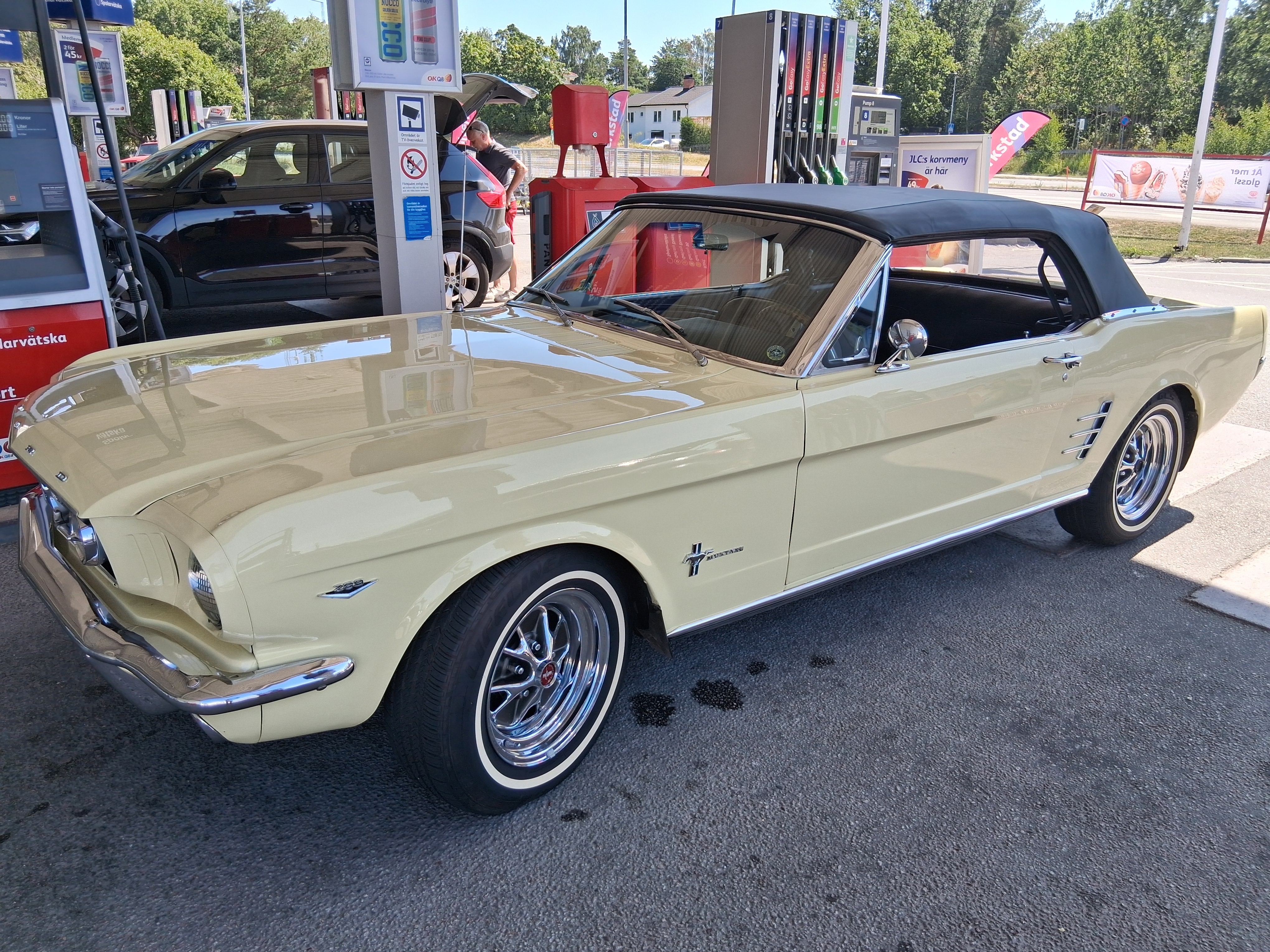 Ford Mustang Cabriolet 1966, bild 7/8