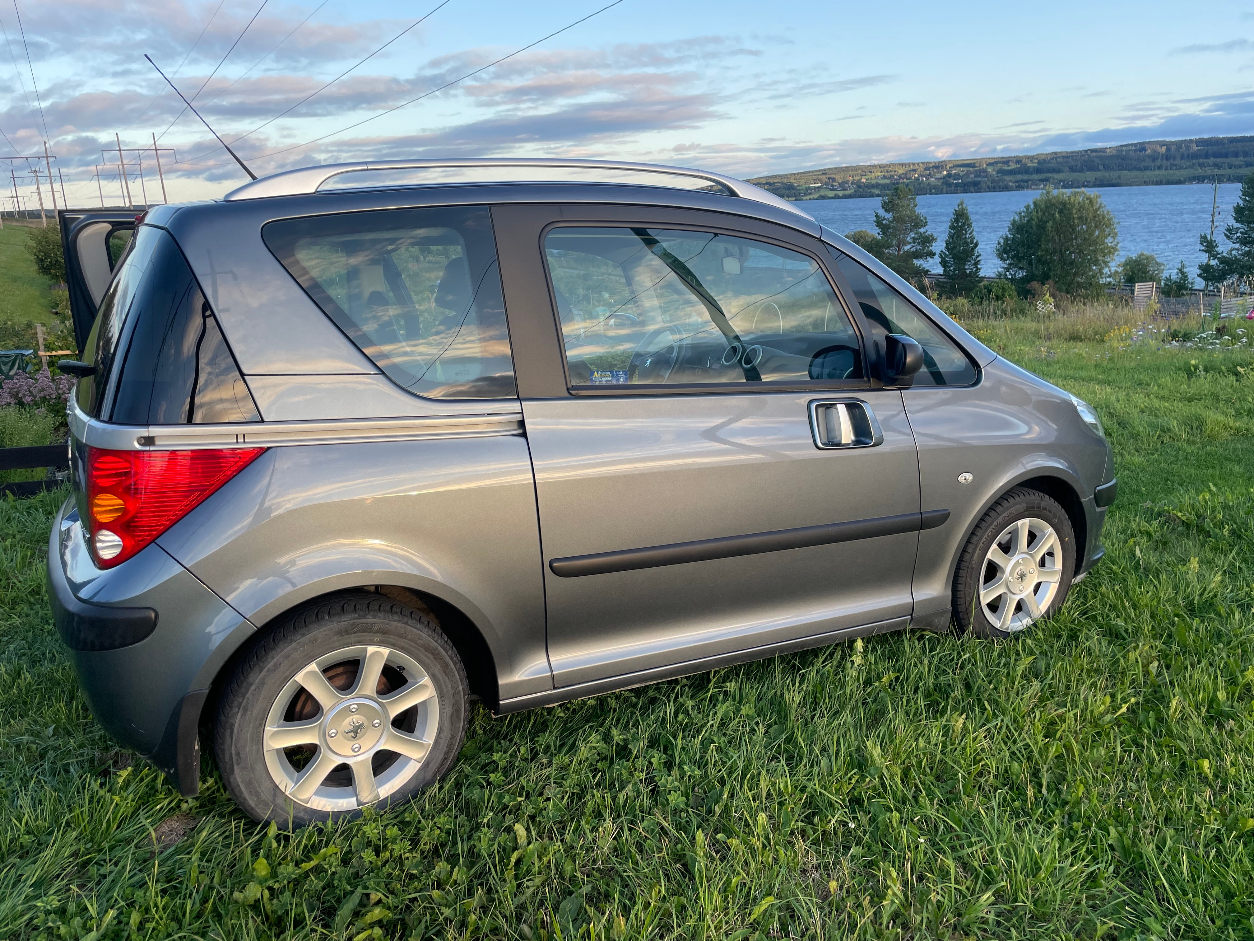 Peugeot 1007
