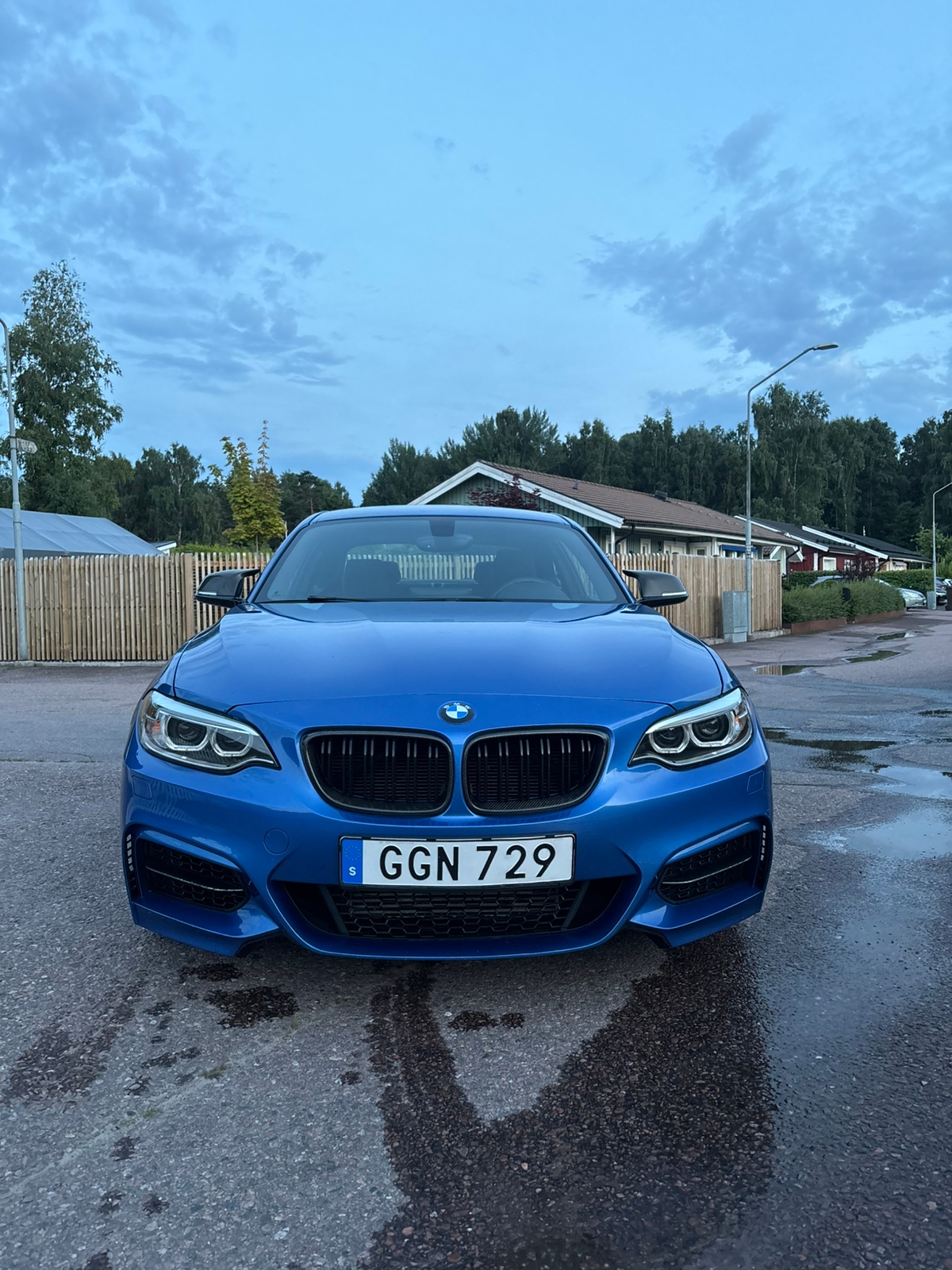 BMW M235i Coupé Steptronic 2014, bild 7/10