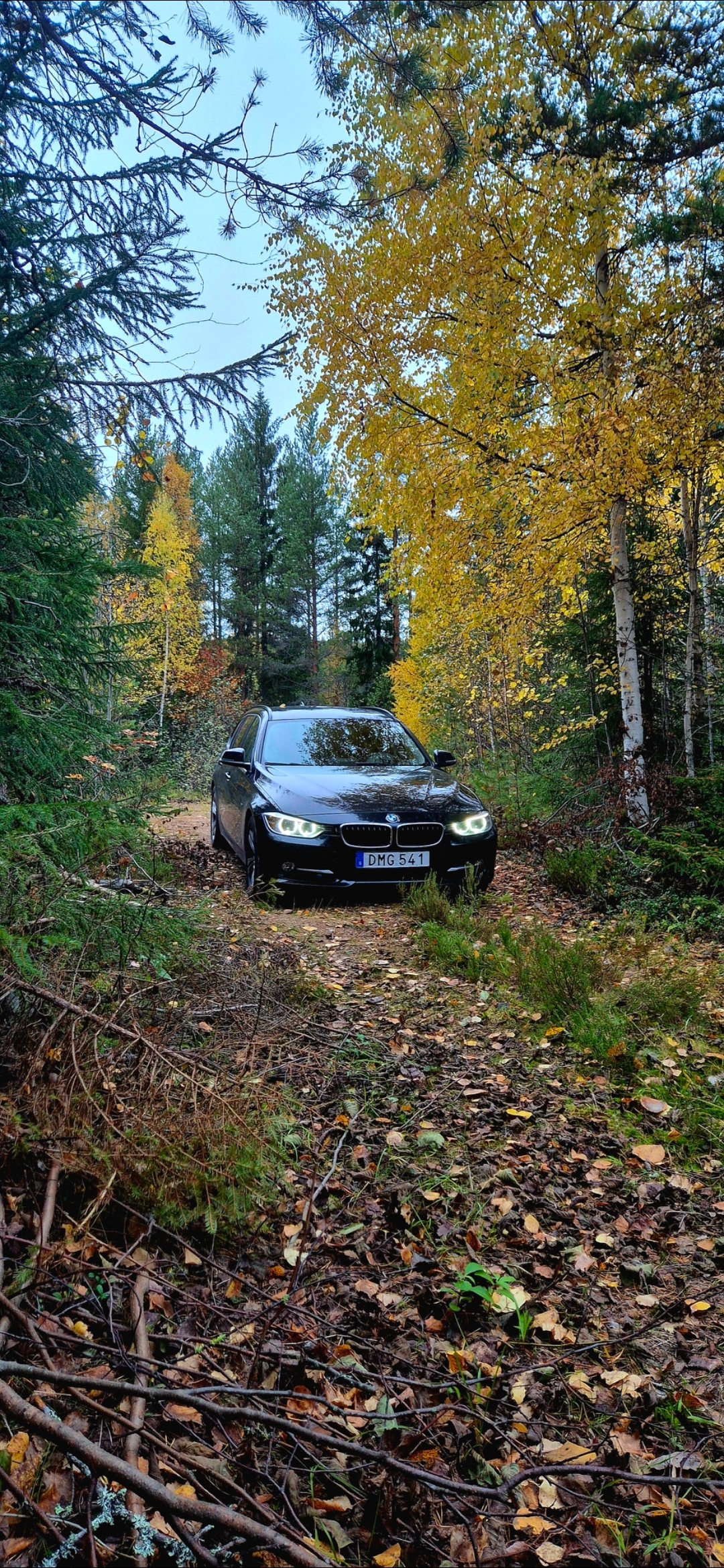 BMW 320 d xDrive Touring Steptronic 2015, bild 5/10