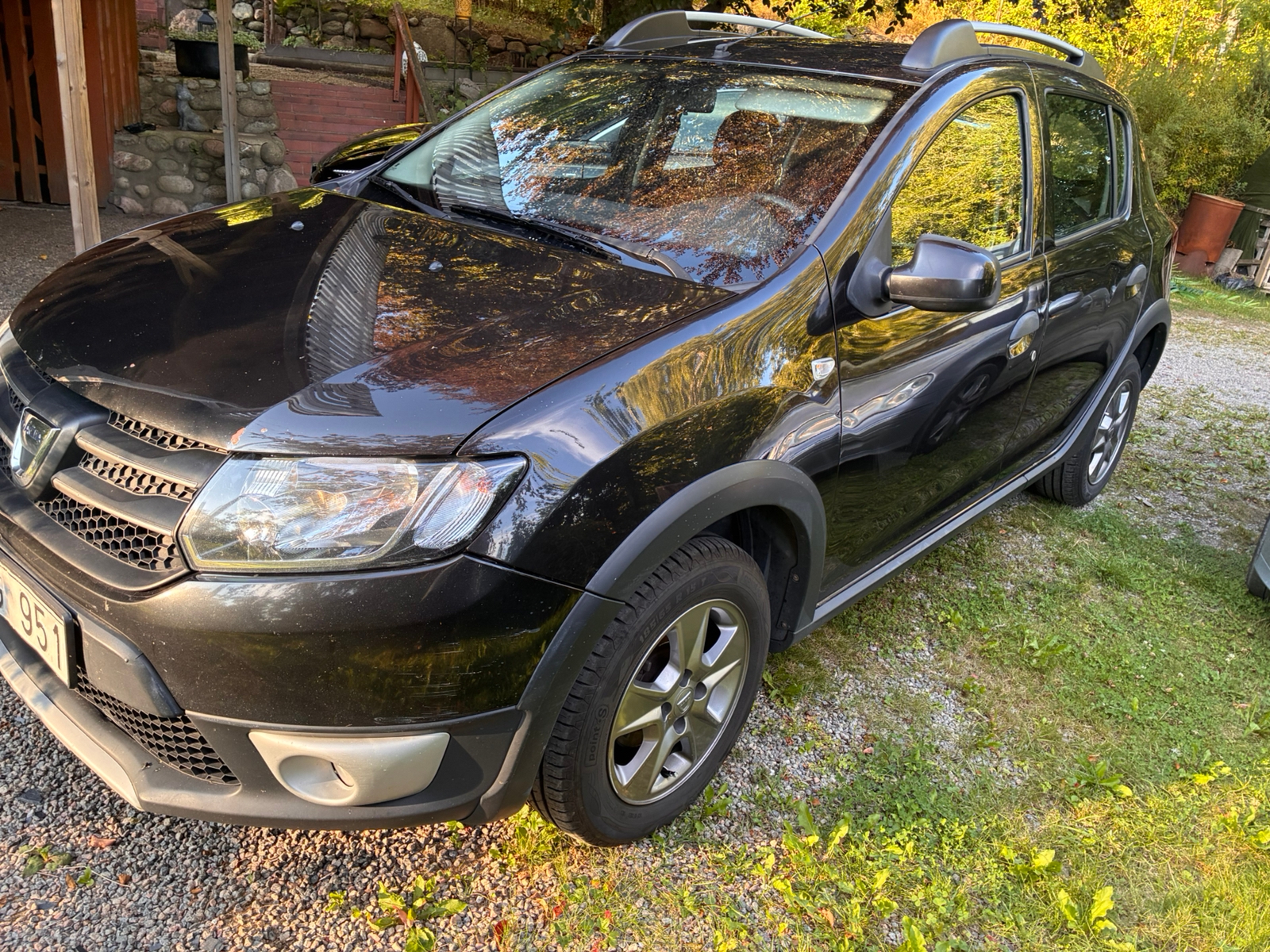 Dacia Sandero Stepway 0.9 TCe Manuell 2014, photo 2/4