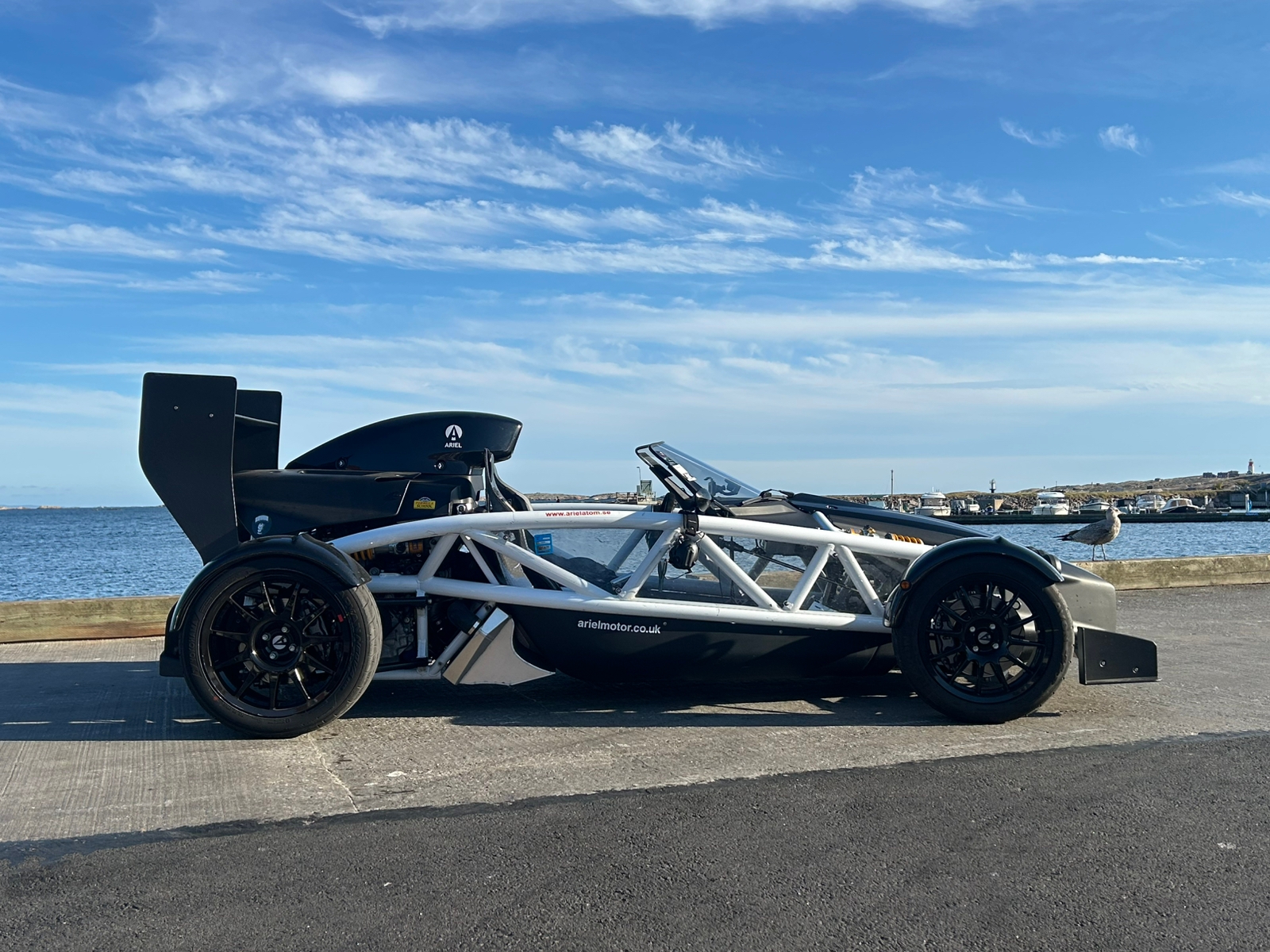 Ariel Atom