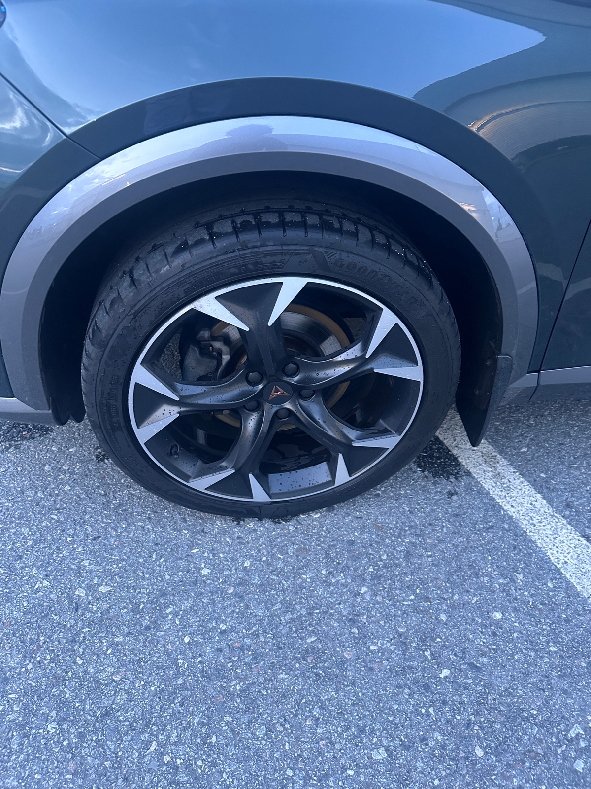 Cupra Formentor 1.5 TSI DSG Sekventiell 2022, photo 6/10