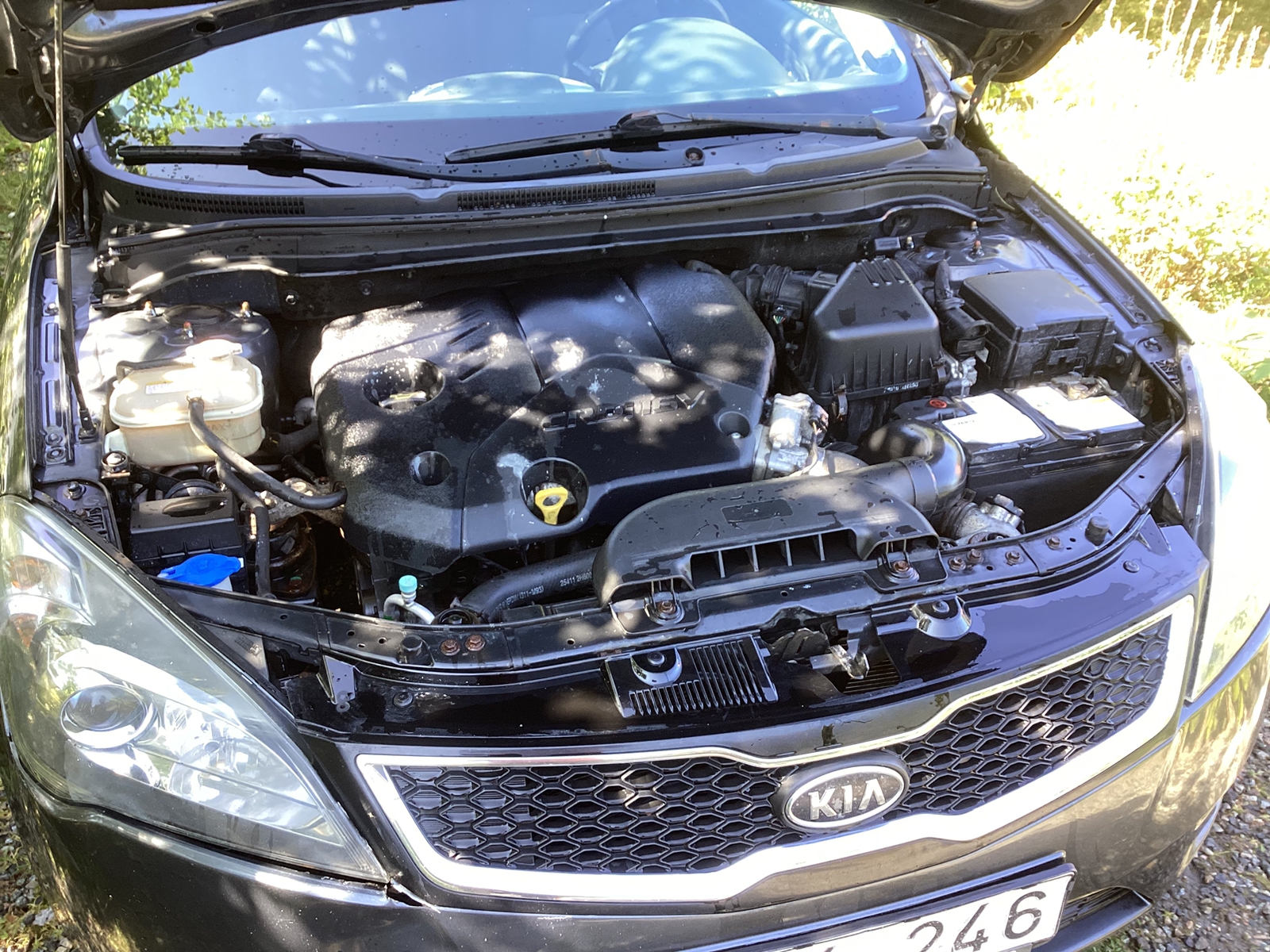 Kia Ceed 1.6 CRDi Manuell 2011, bild 8/8